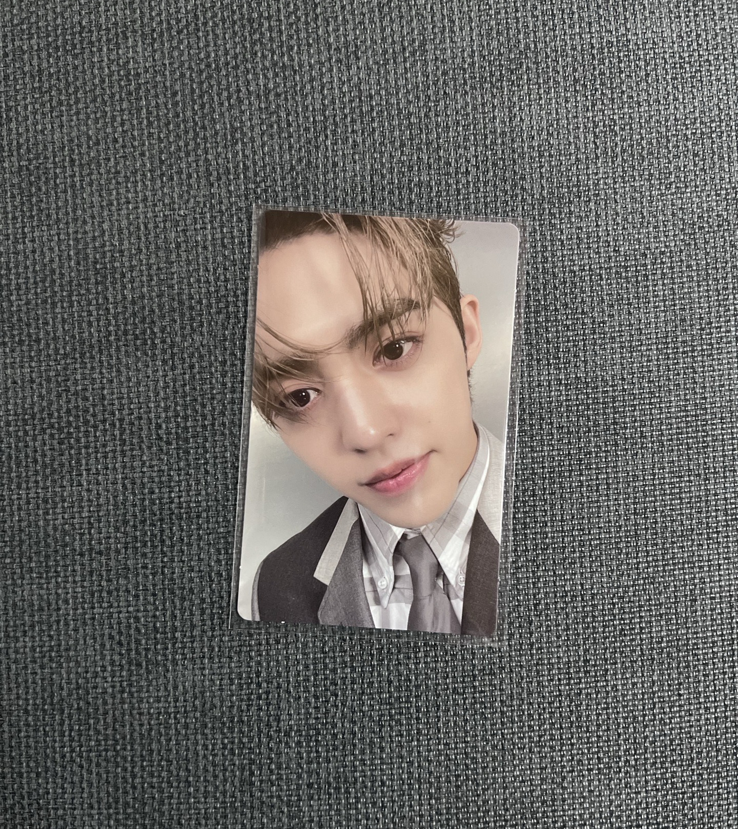 精選專 wvs 特典 哲