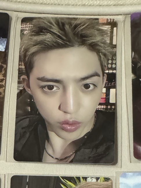 COMPACT盤WVS特典 哲