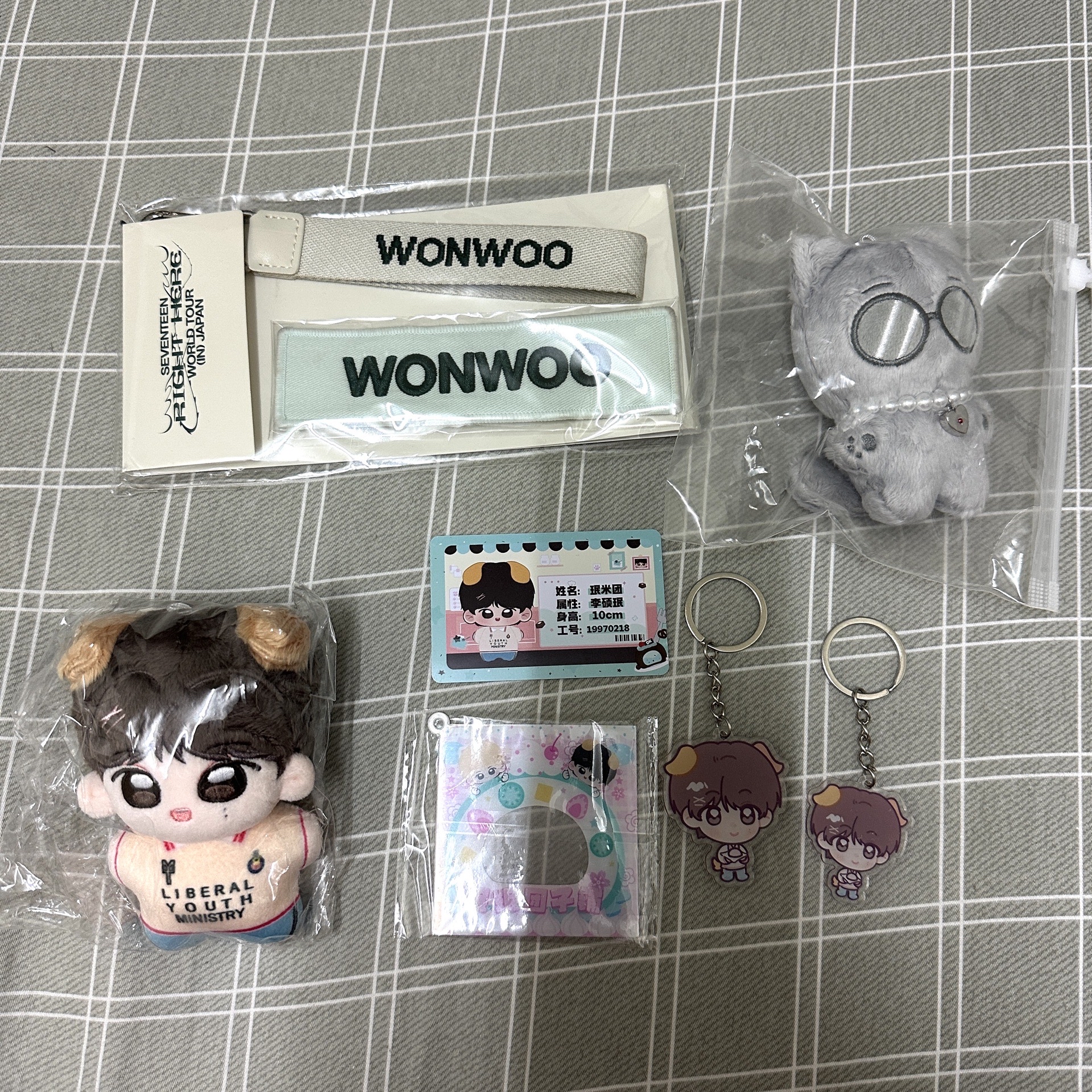 💎圓佑 Right Here 日巡 姓名條 布章