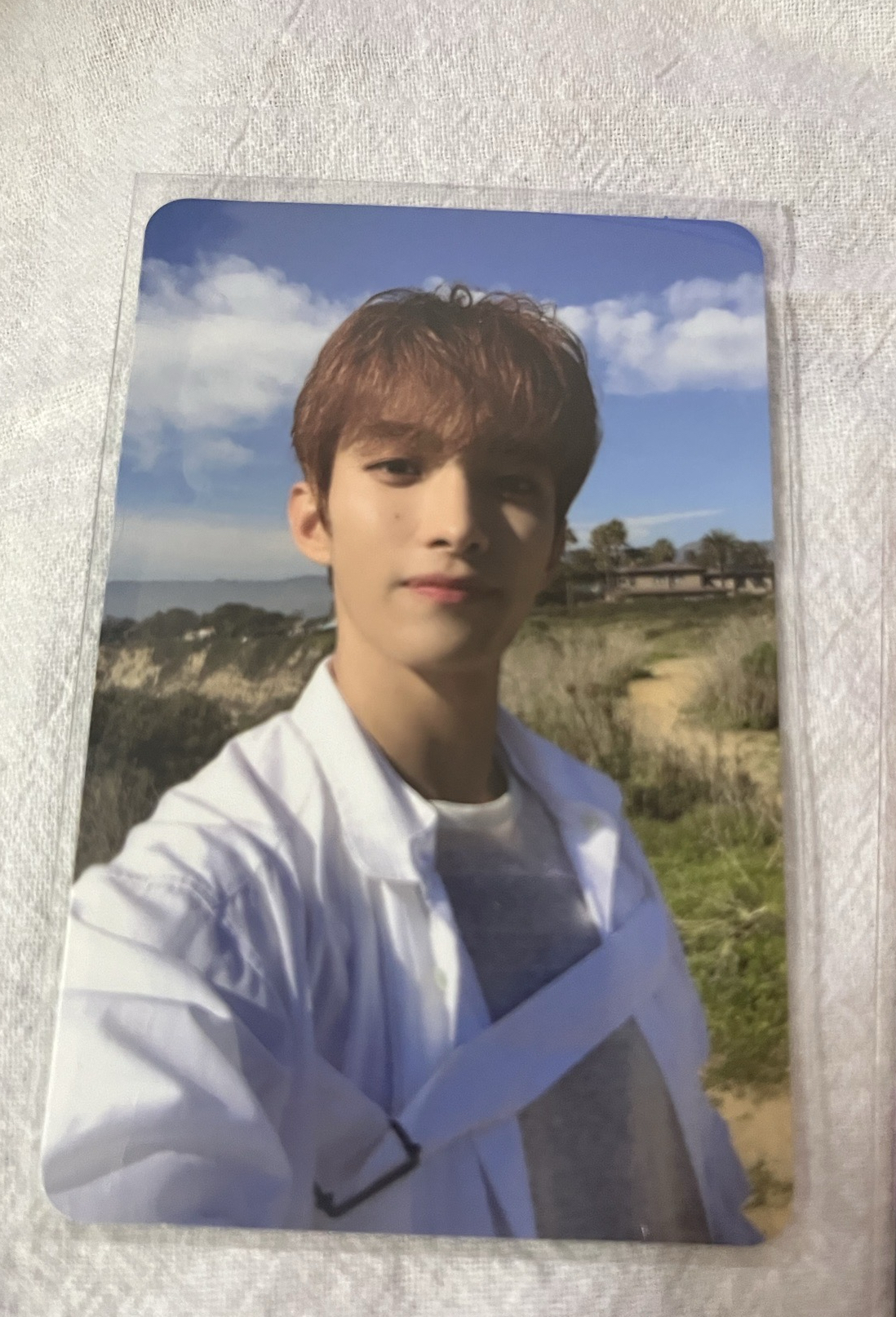 17-碩🐶/小卡區