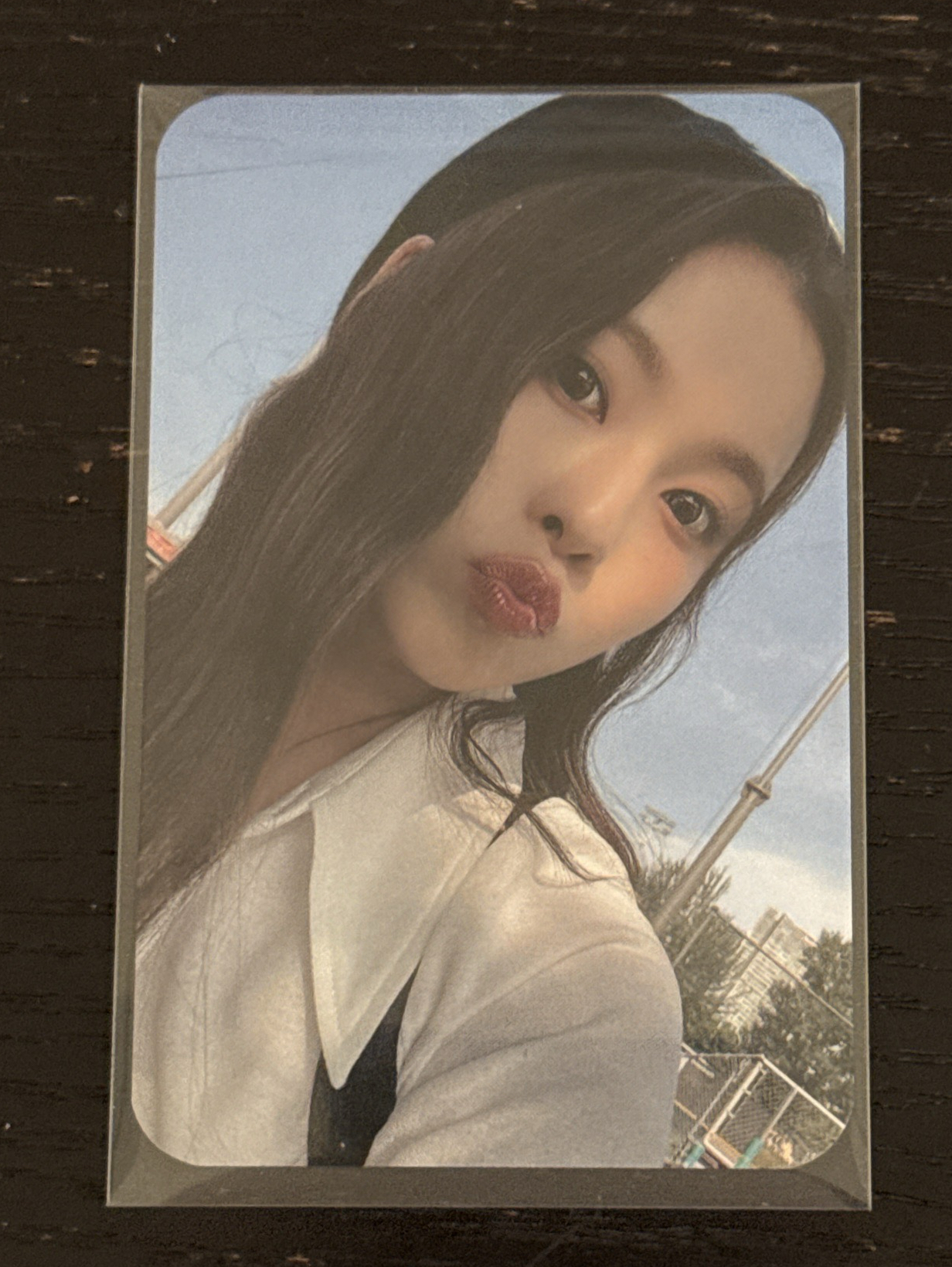 仲夏夜sw圭（可被帶）