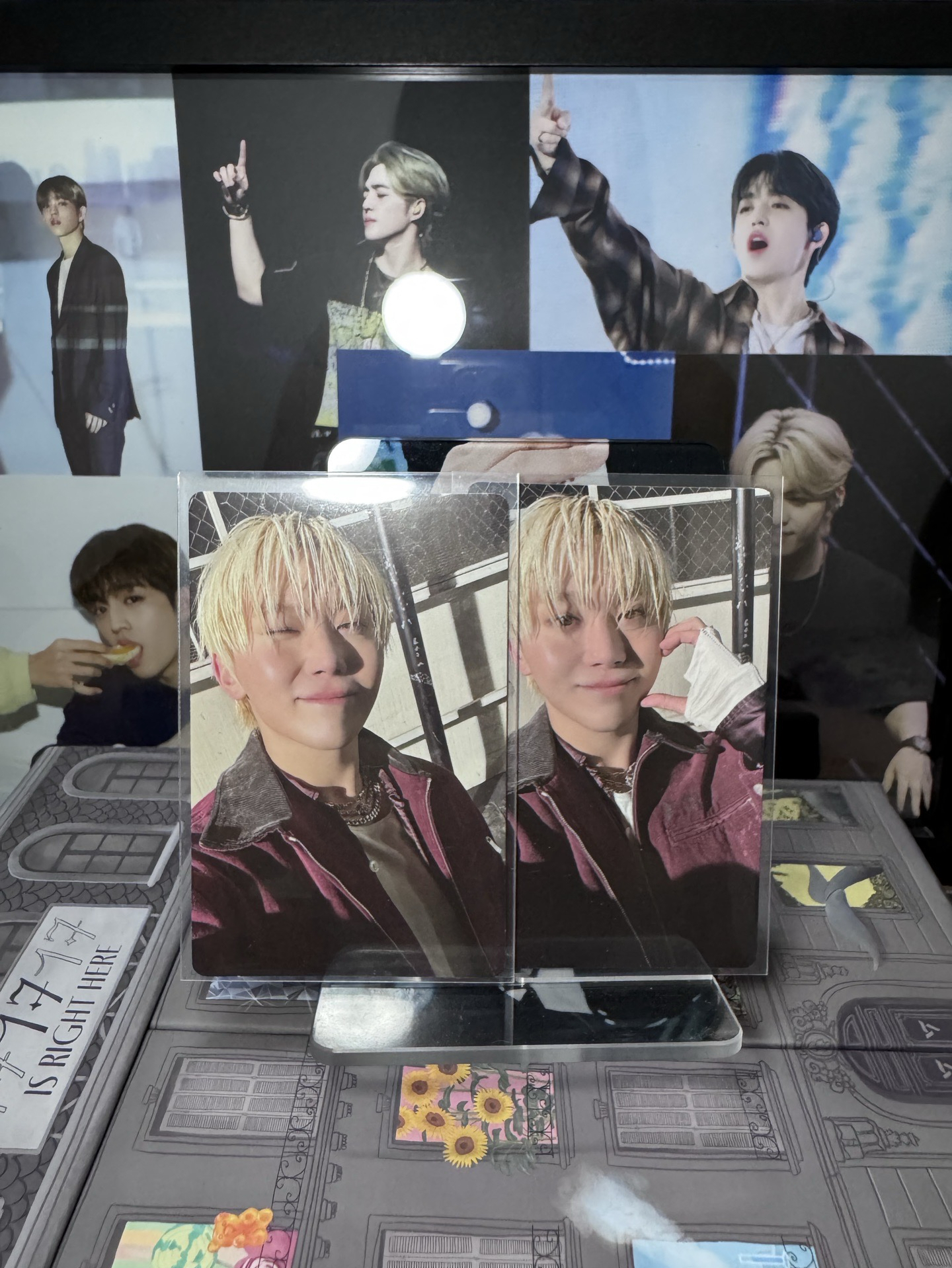 💙寛🍊wvs預售特典