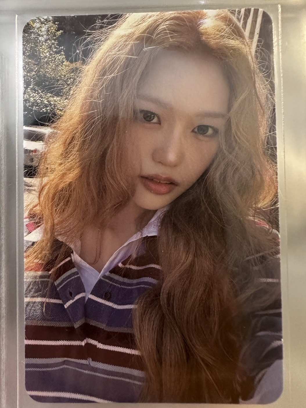 izna版 專卡 saebi ver.B