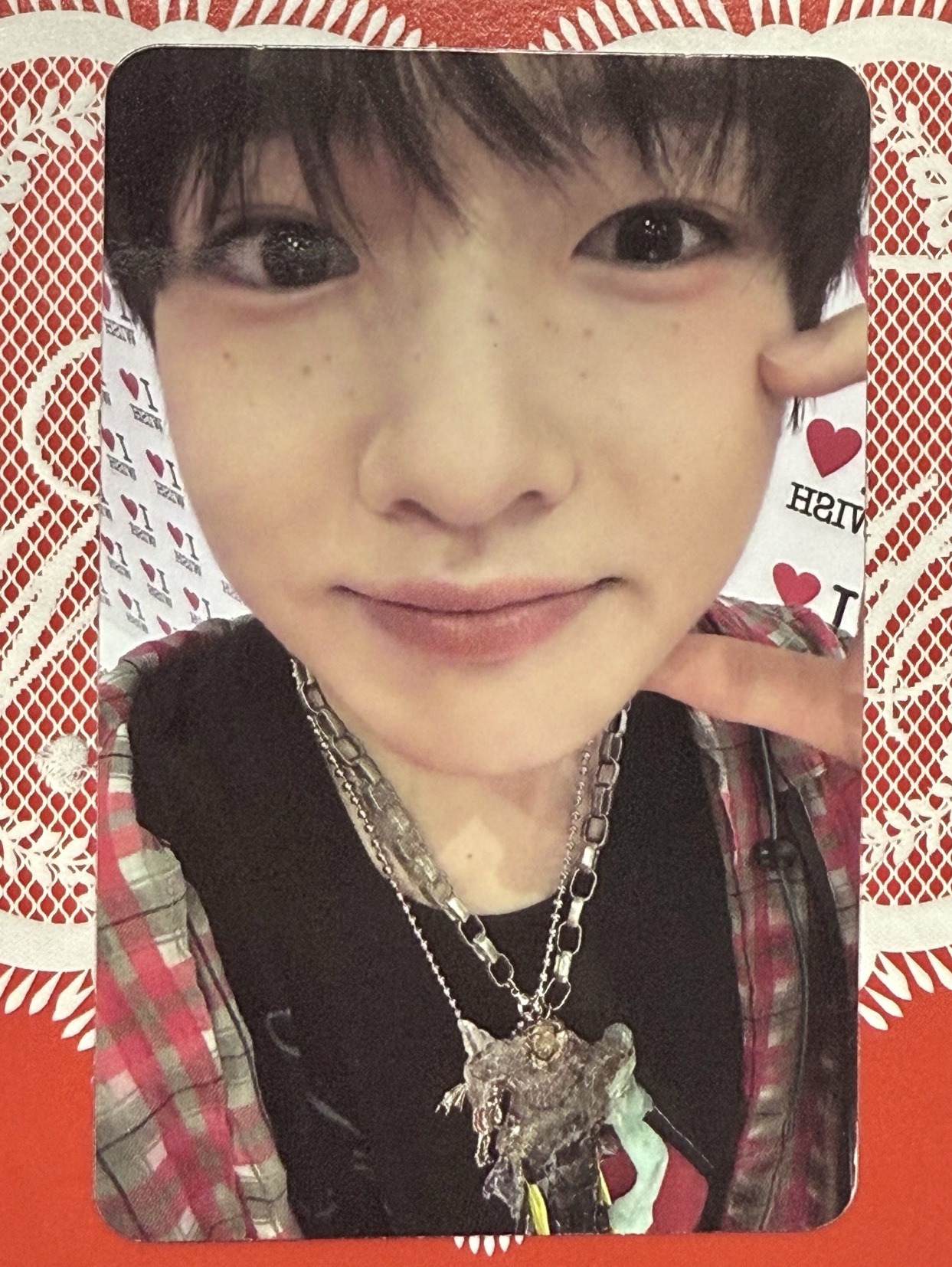 sakuya Steady 專輯卡