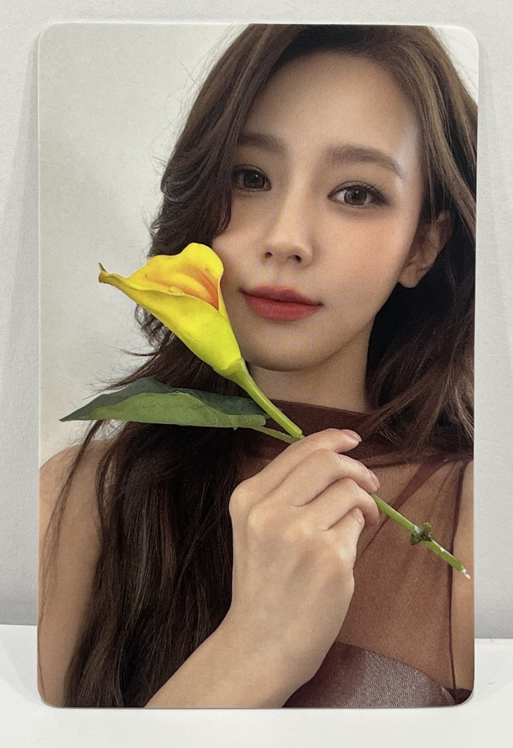 呈仕雜誌卡（中背）-拿花