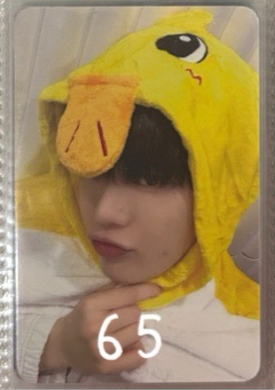 動物睡衣 金泰來