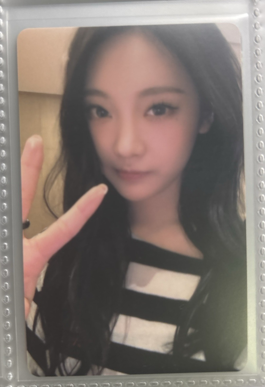 Whiplash kms簽售寧