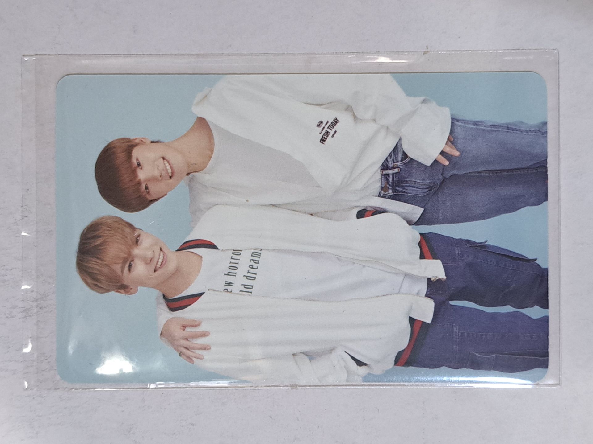 18年克拉島鐵盒小卡 VERNON DINO