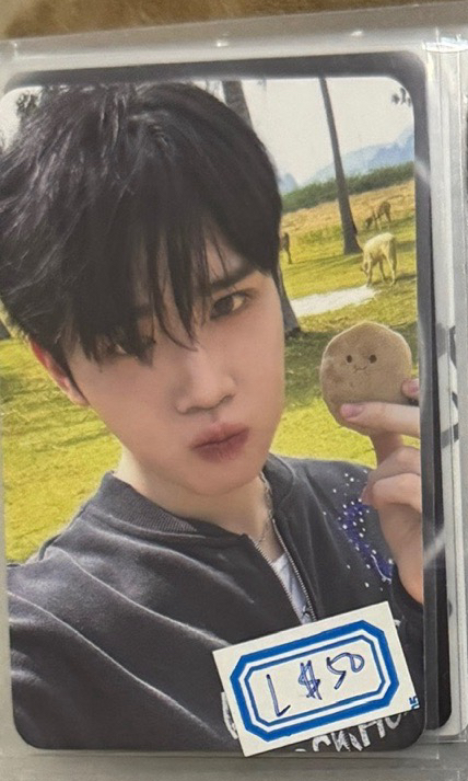 泰來迷五特典卡馬鈴薯