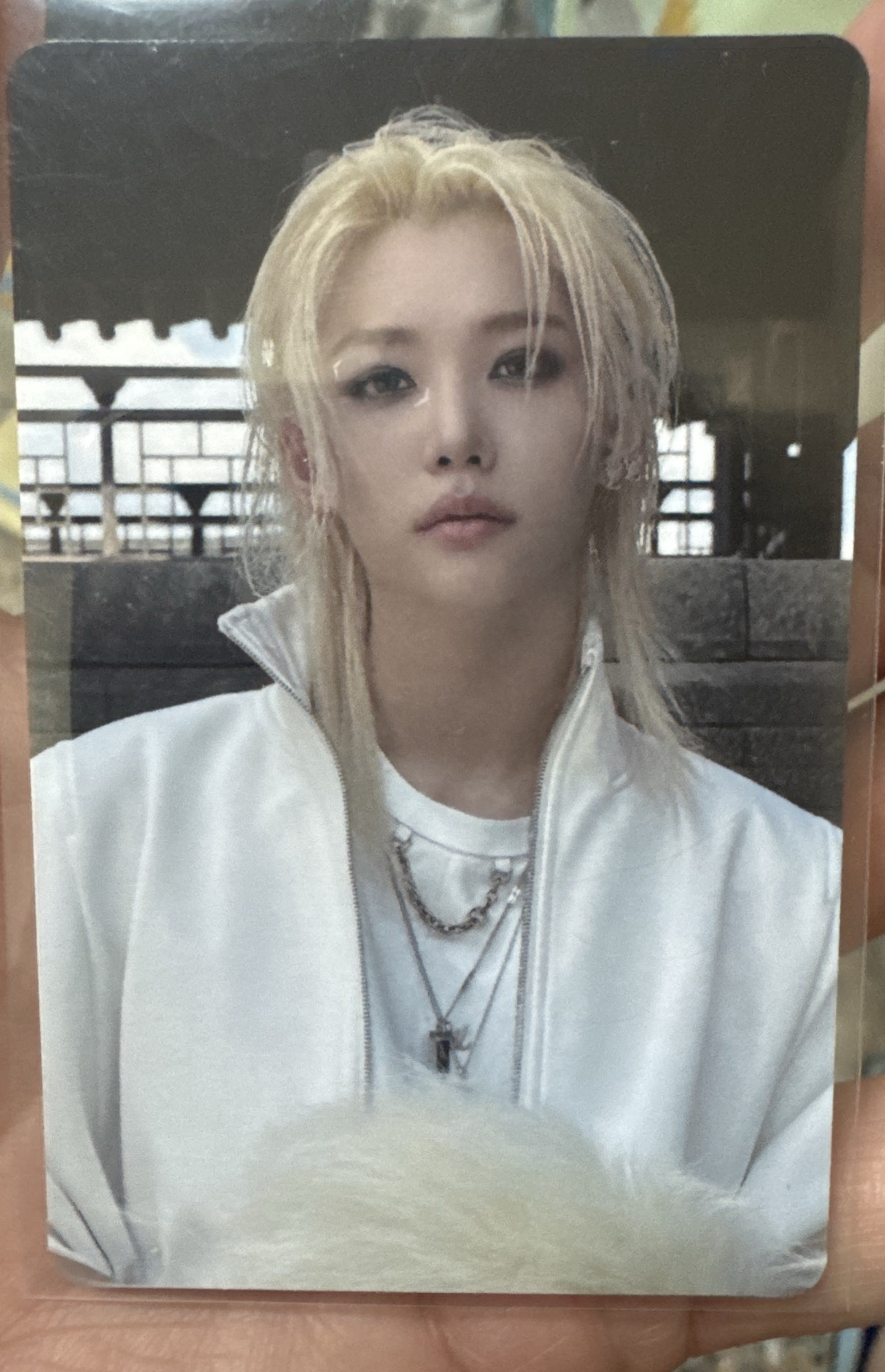 我完全不知道怎麼會有這張（？