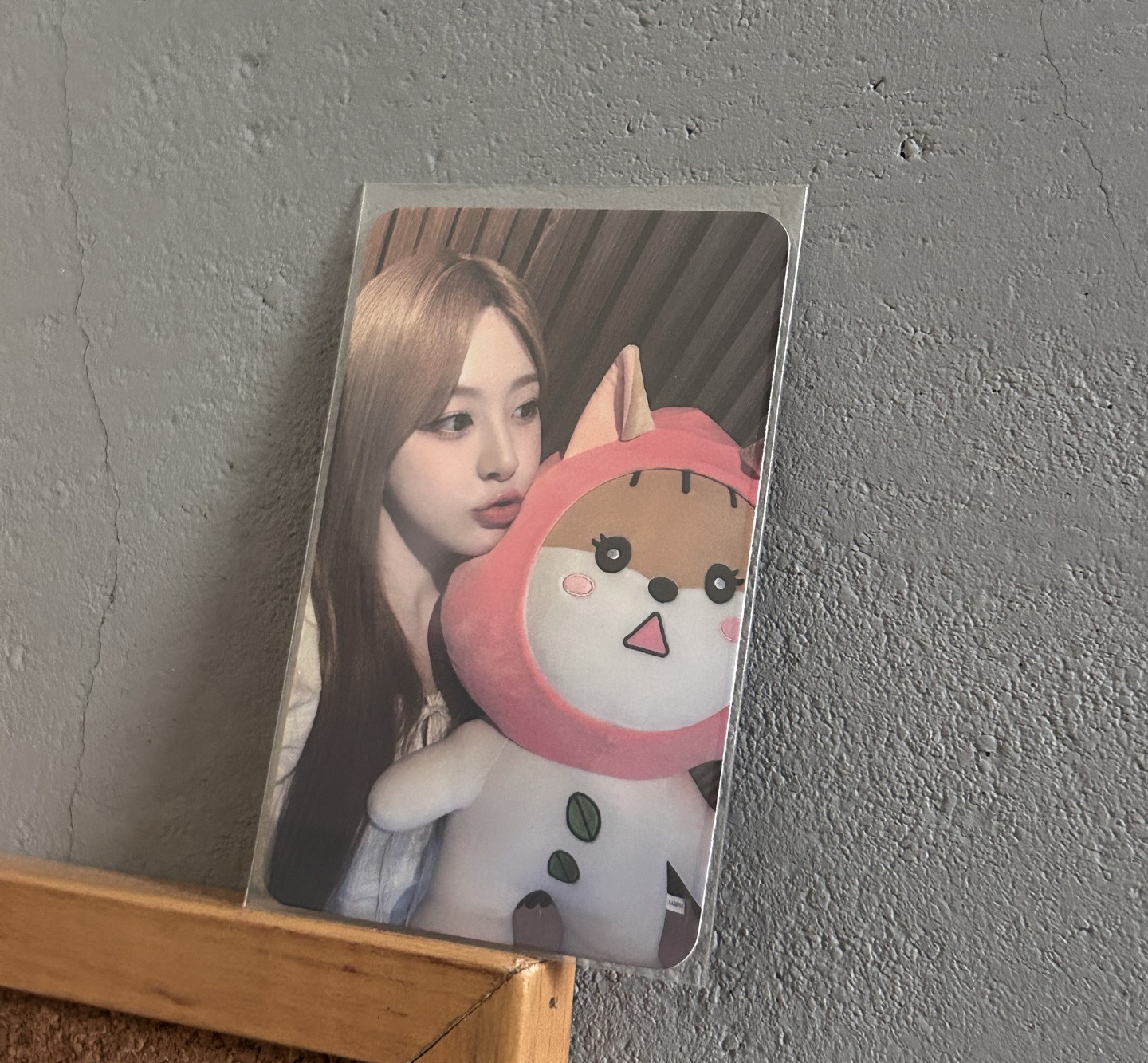 森 生日限定周邊大娃卡 