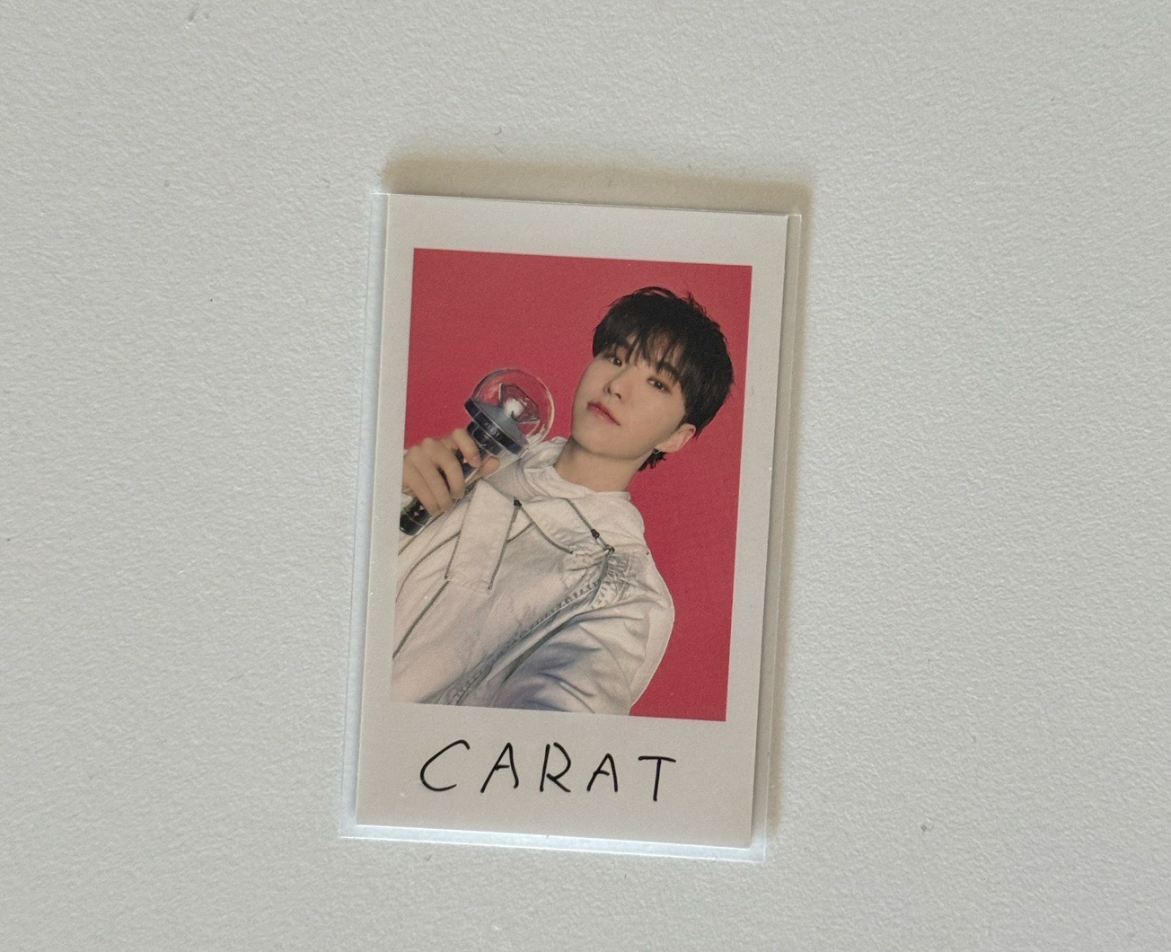 Hoshi 拿棒榮 拍立得