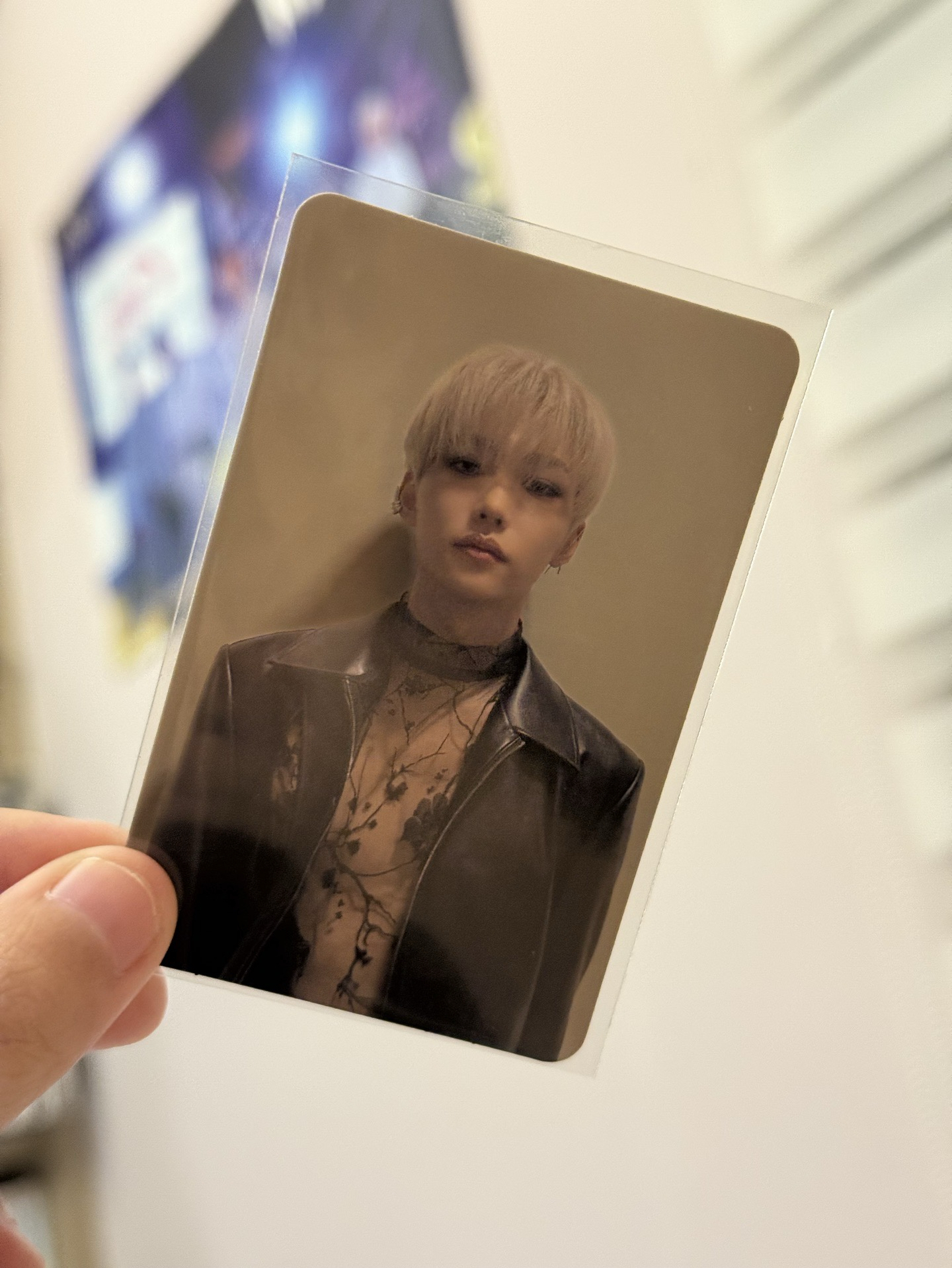 Felix oddinary Target 特典