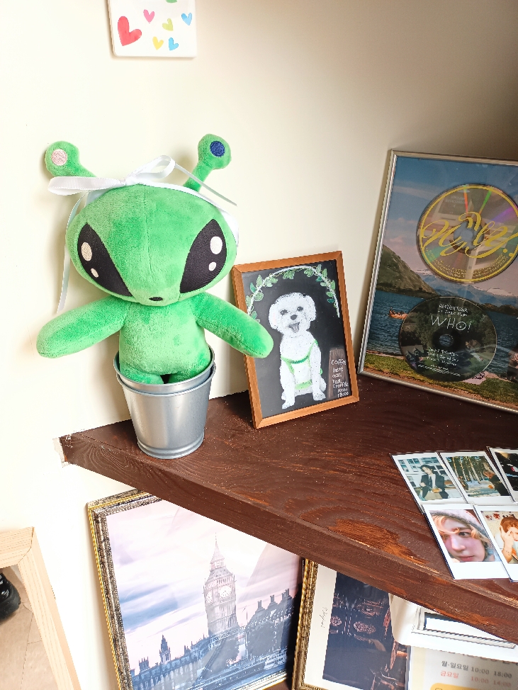 愛上釜山的Ann🌻