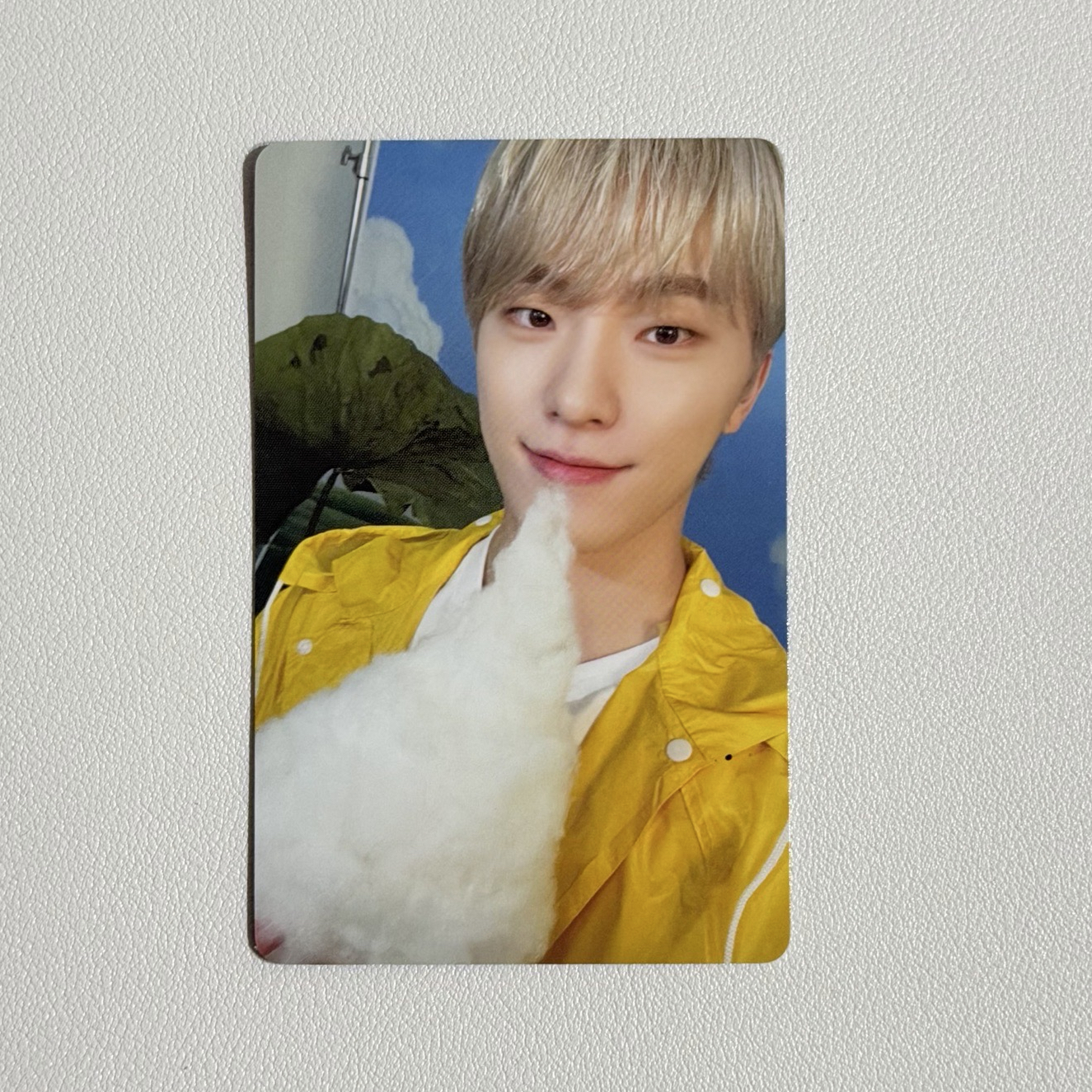 SEVENTEEN MINI11 專輯卡 CARAT ver./燦