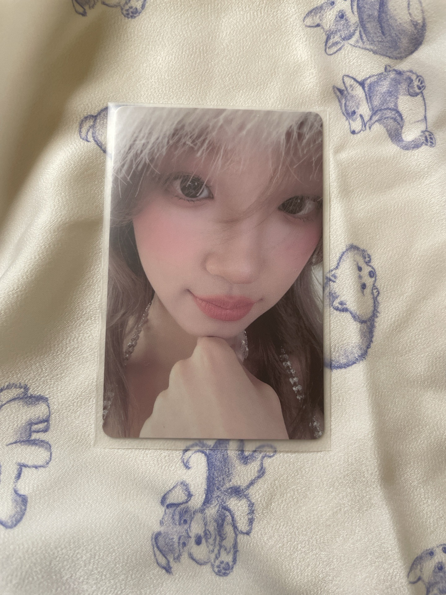 雨琦正二qq音樂