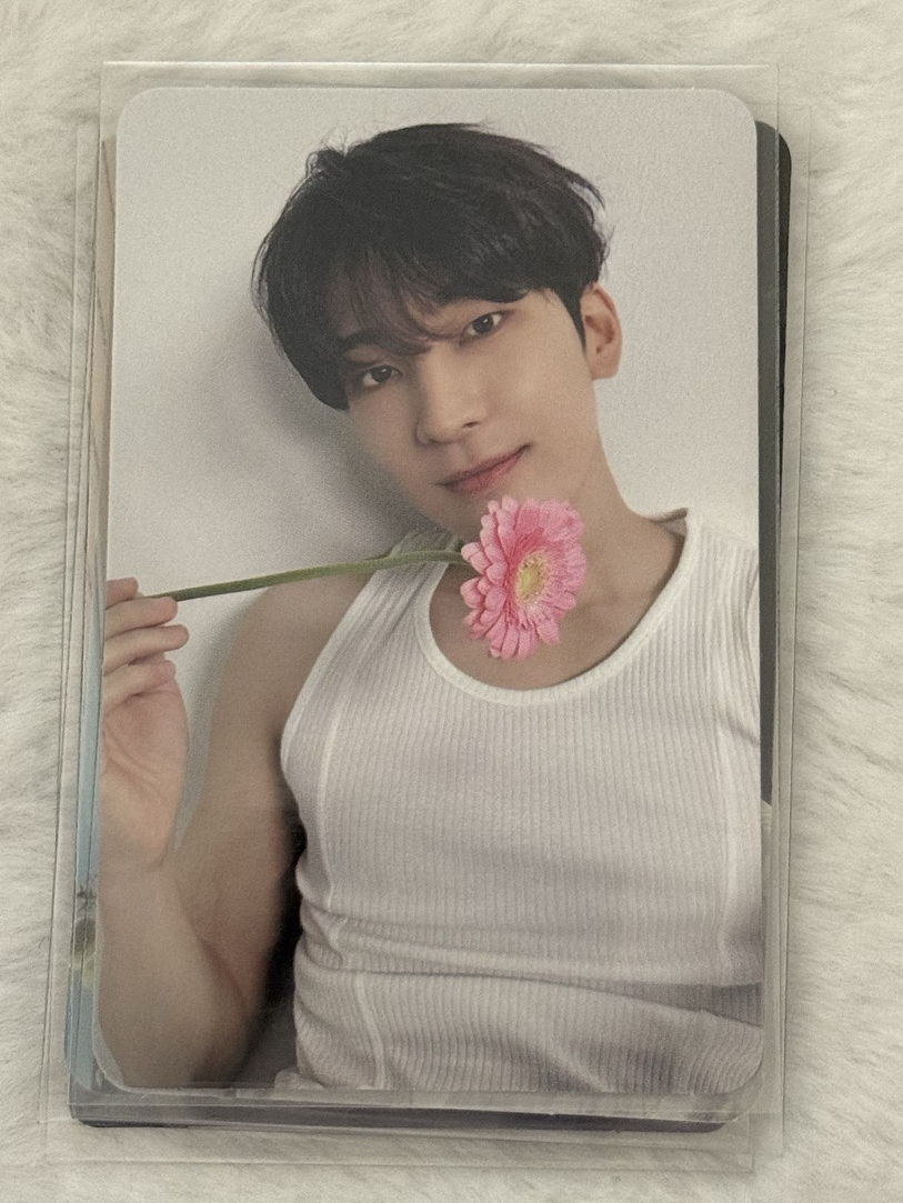 精選專 克拉盤 圓