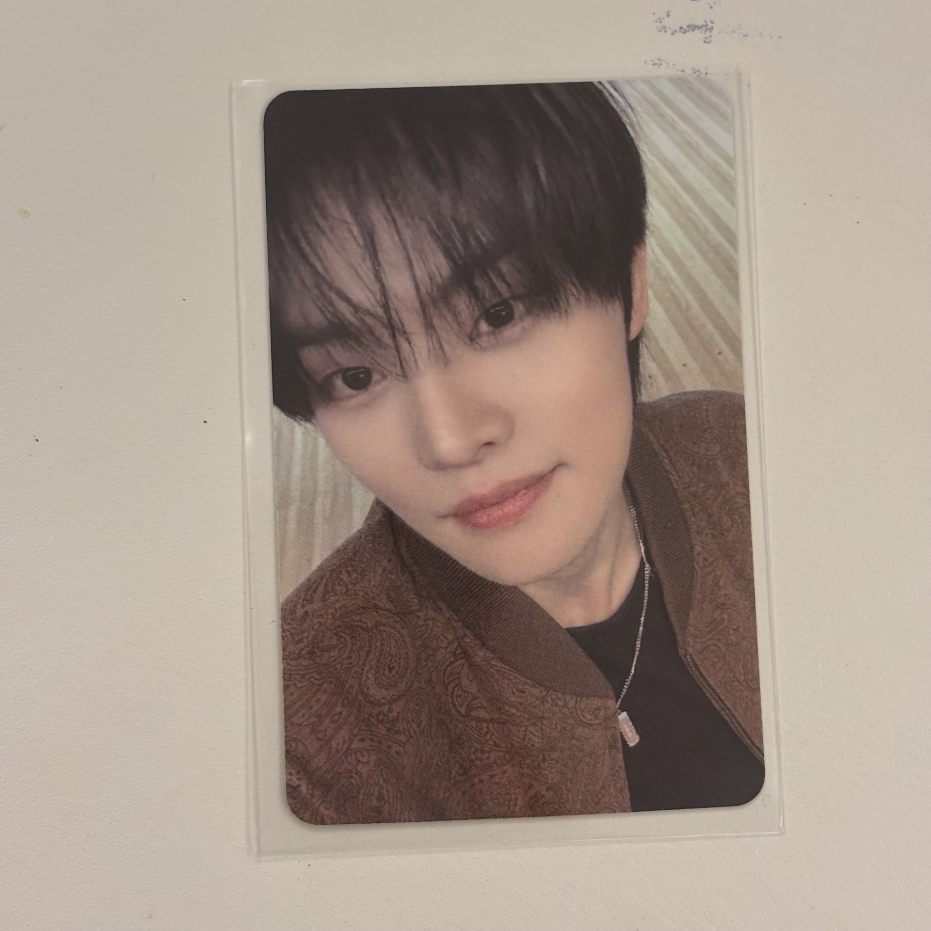 🌟oy 簽售卡 全員 可單