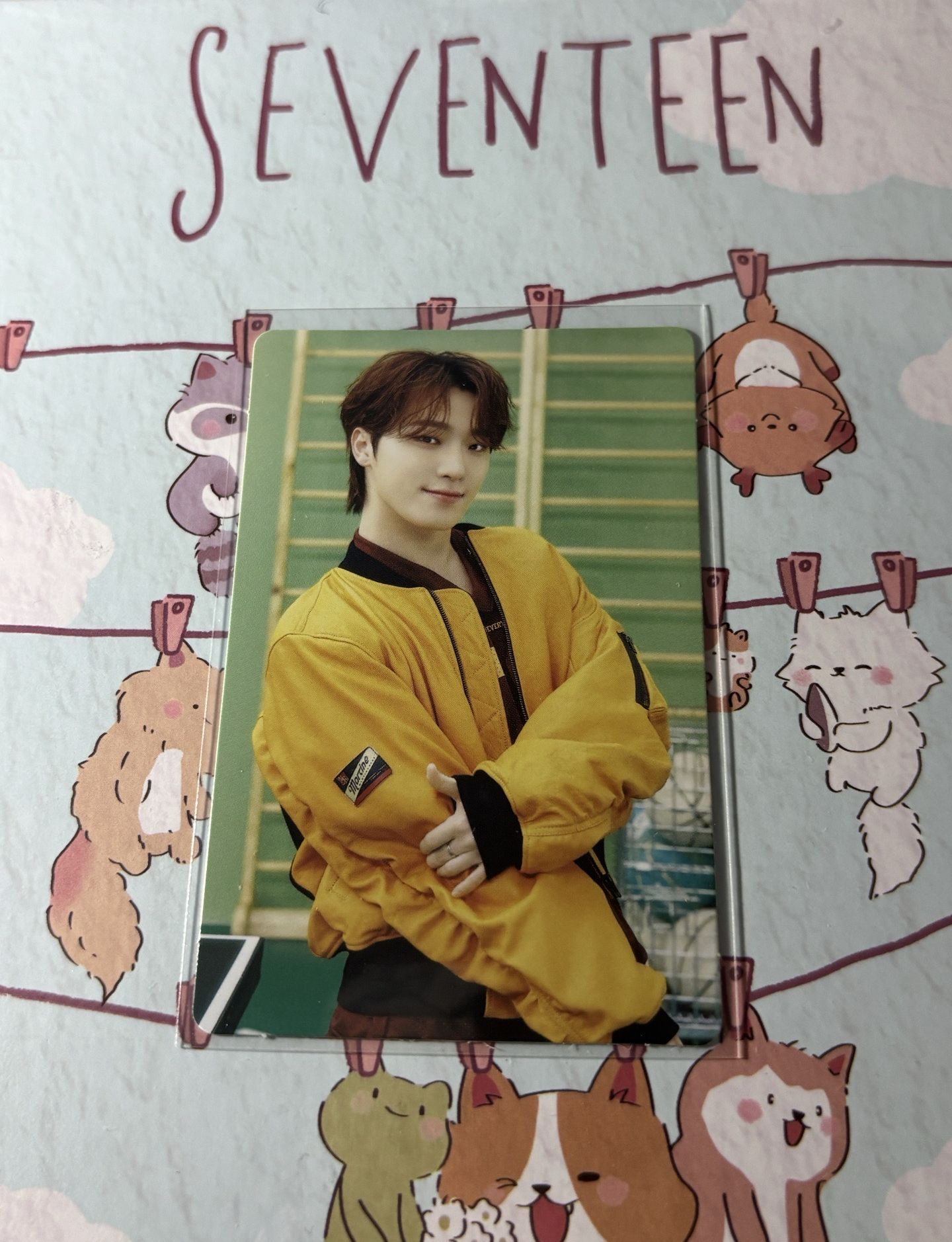 🤍2025 克拉島 caratland 隨機卡 燦