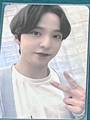 溫柔毛衣大狗狗