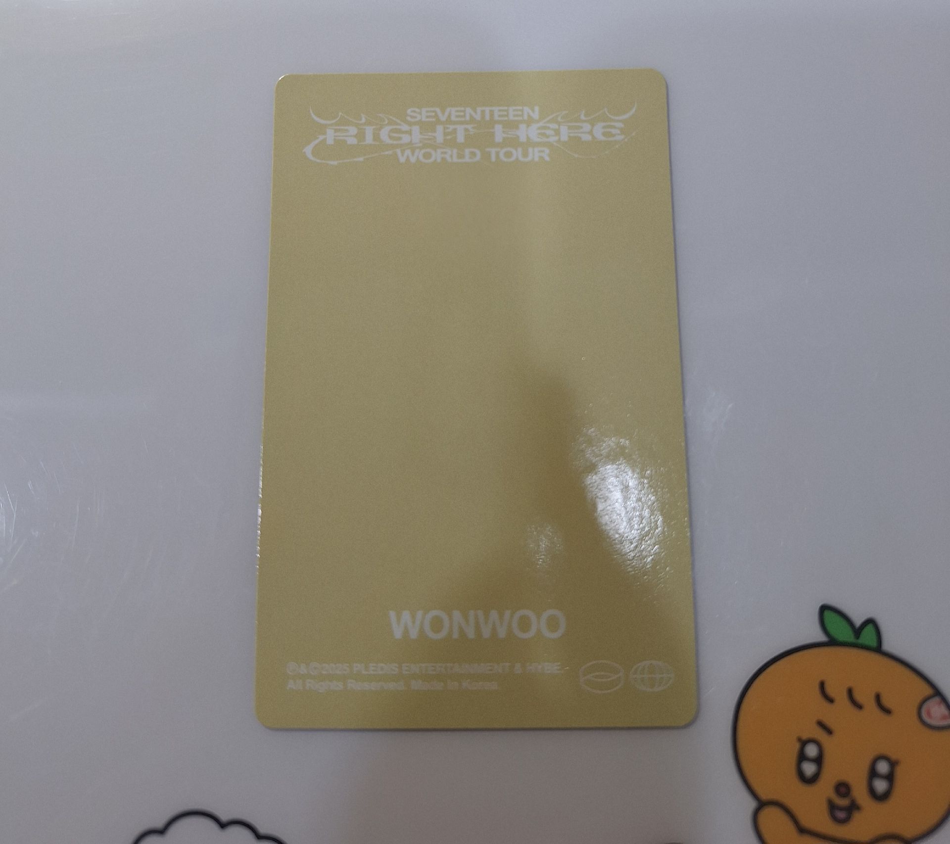 right here world tour wonwoo