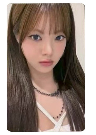 採單封+預售+幸運卡