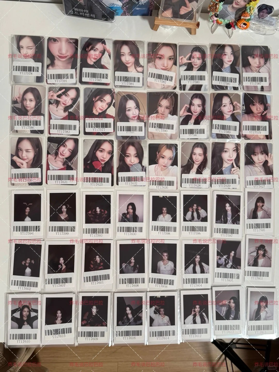 簽售✏️/KMS上海