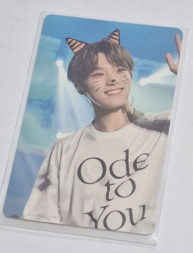 貓燦 李燦 小卡 燦小卡