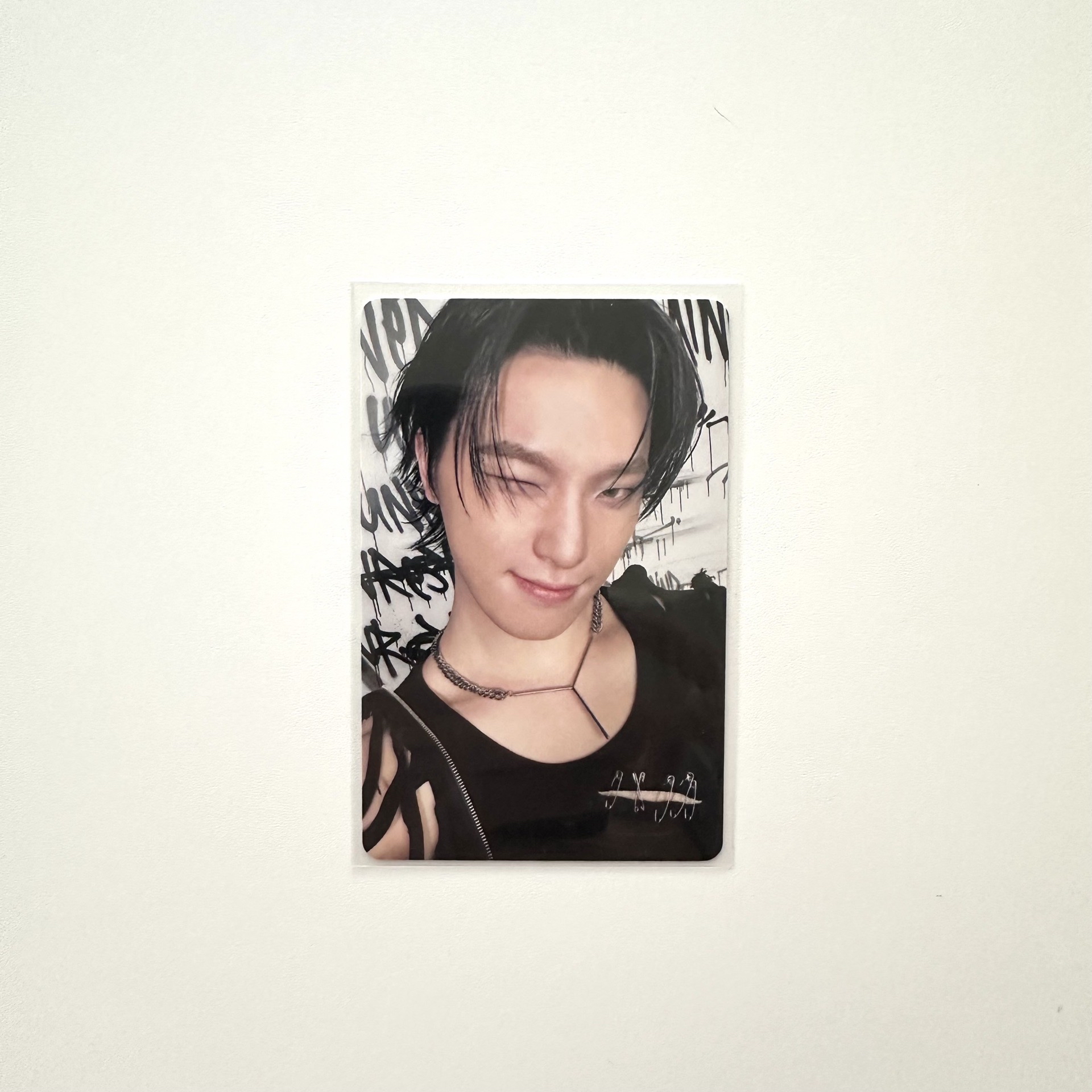 正規五克拉盤燦