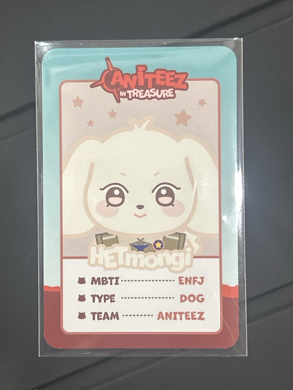 ANITEEZ IN TREASURE卡包卡（HETmongi）