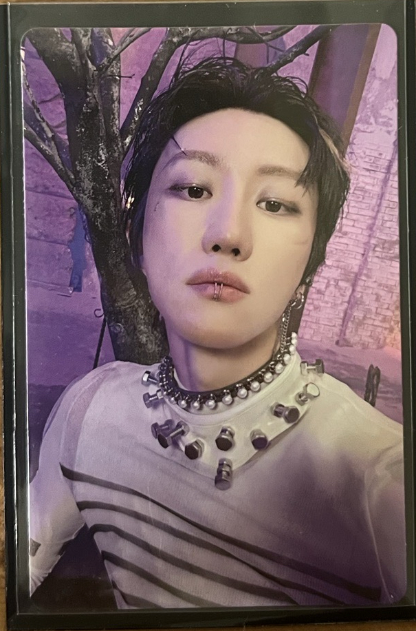 正規五輯/專卡/八