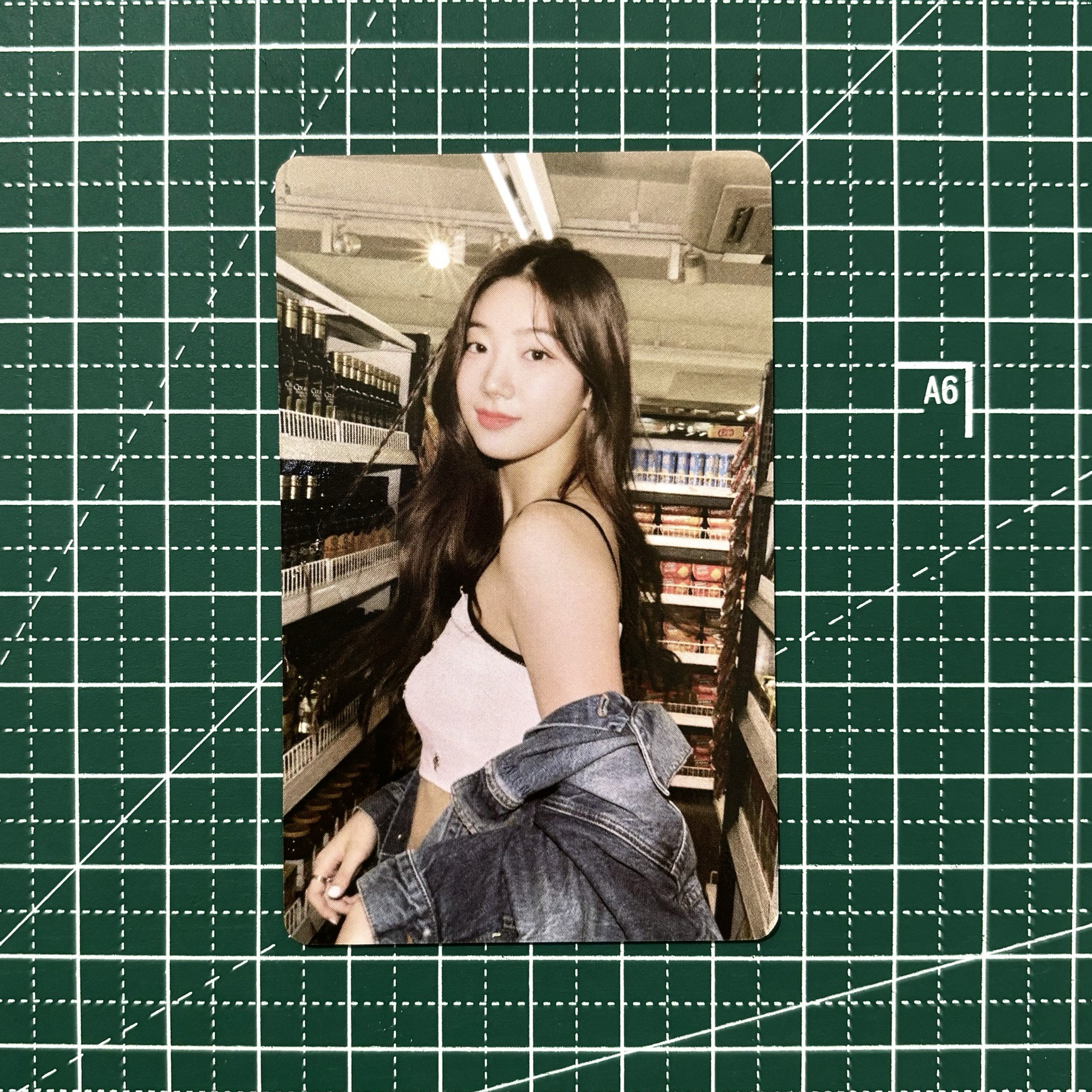 𓊆 wvs 特典卡葉 𓊇