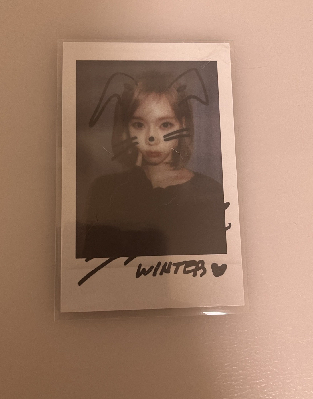 星河簽售拍立得 冬