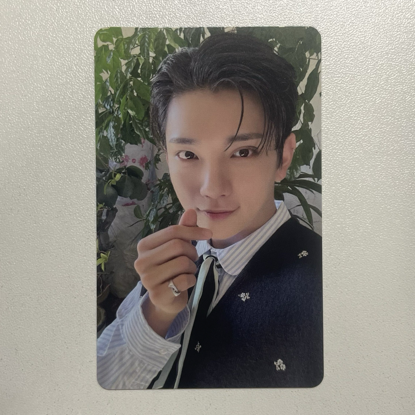 🫎-MINI 12 wvs 大阪｜場限卡 