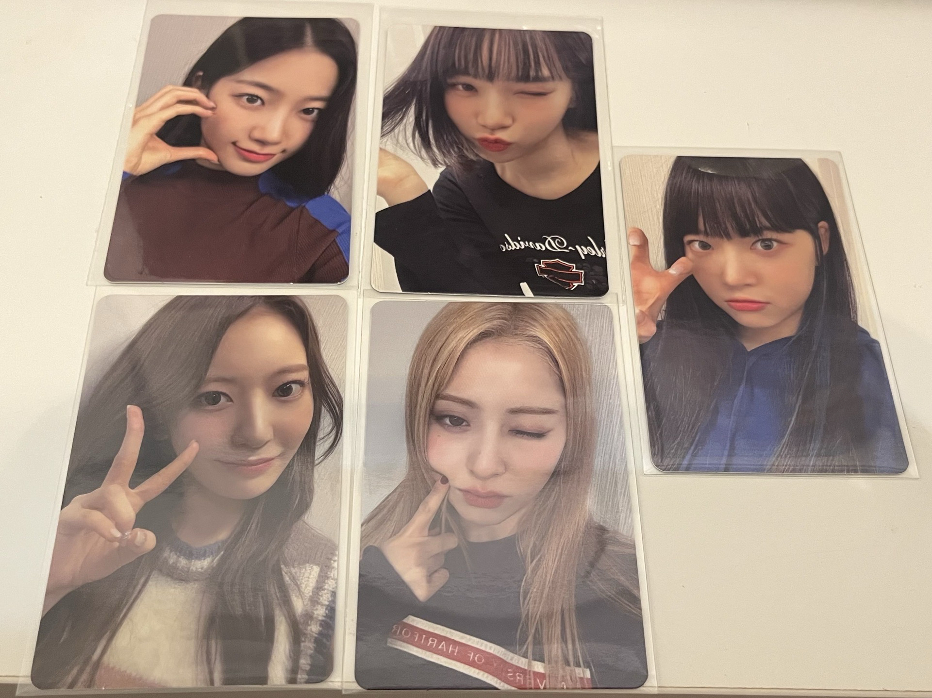 LS 會員禮卡 一期會員早鳥禮