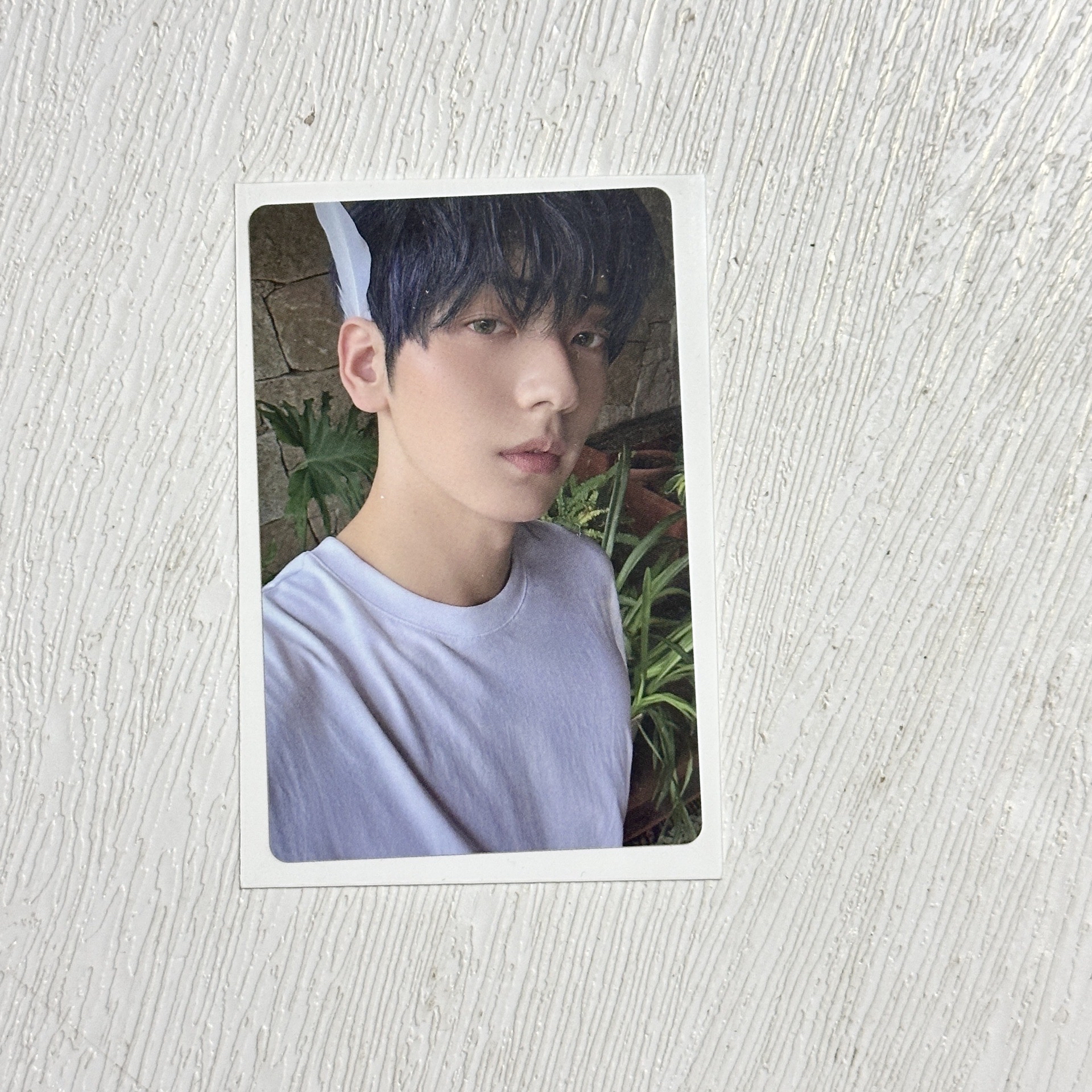 迷七 電子專卡/單封卡崔秀彬.姜太顯.休寧凱