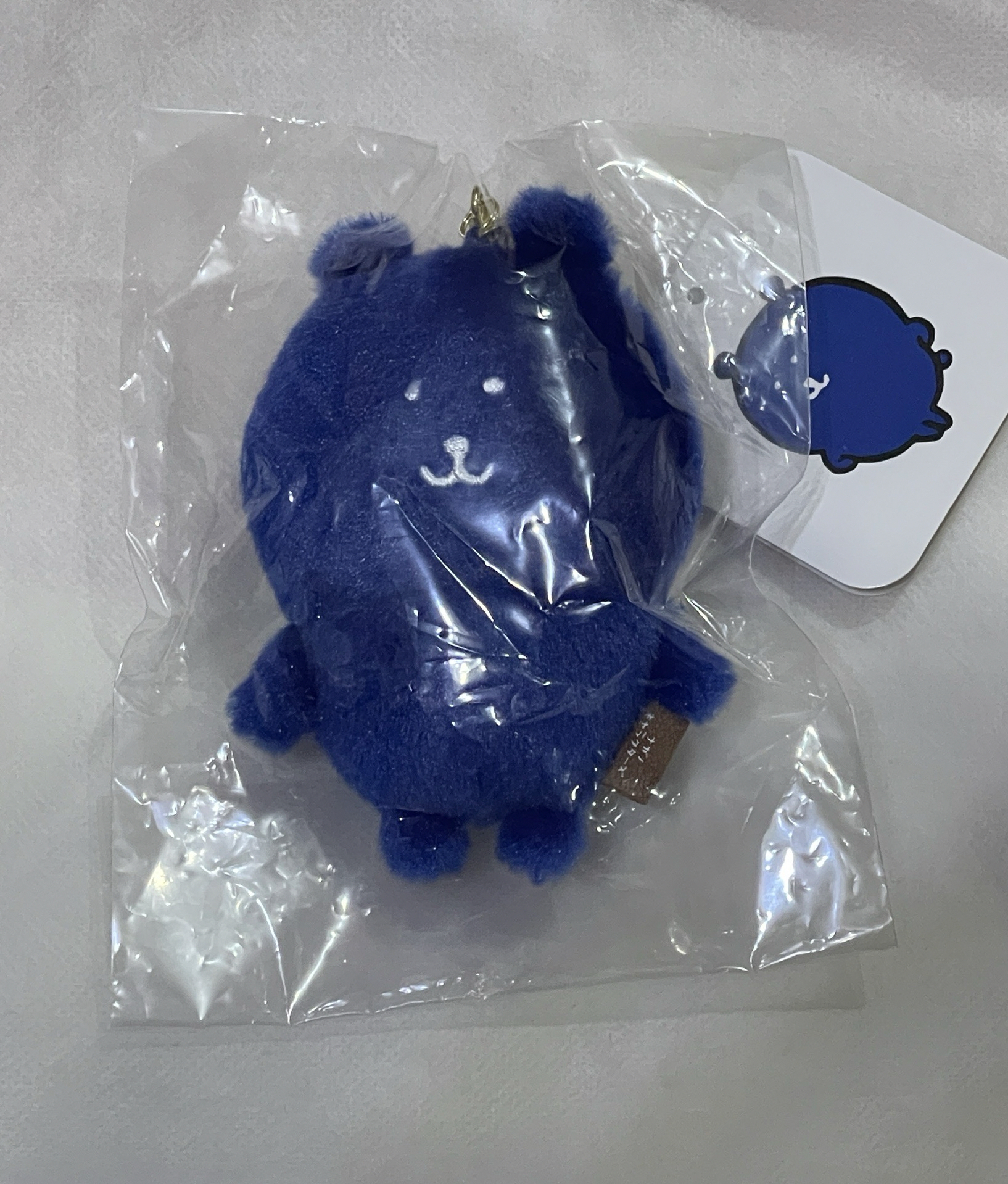 自嘲熊 彩色熊 深藍