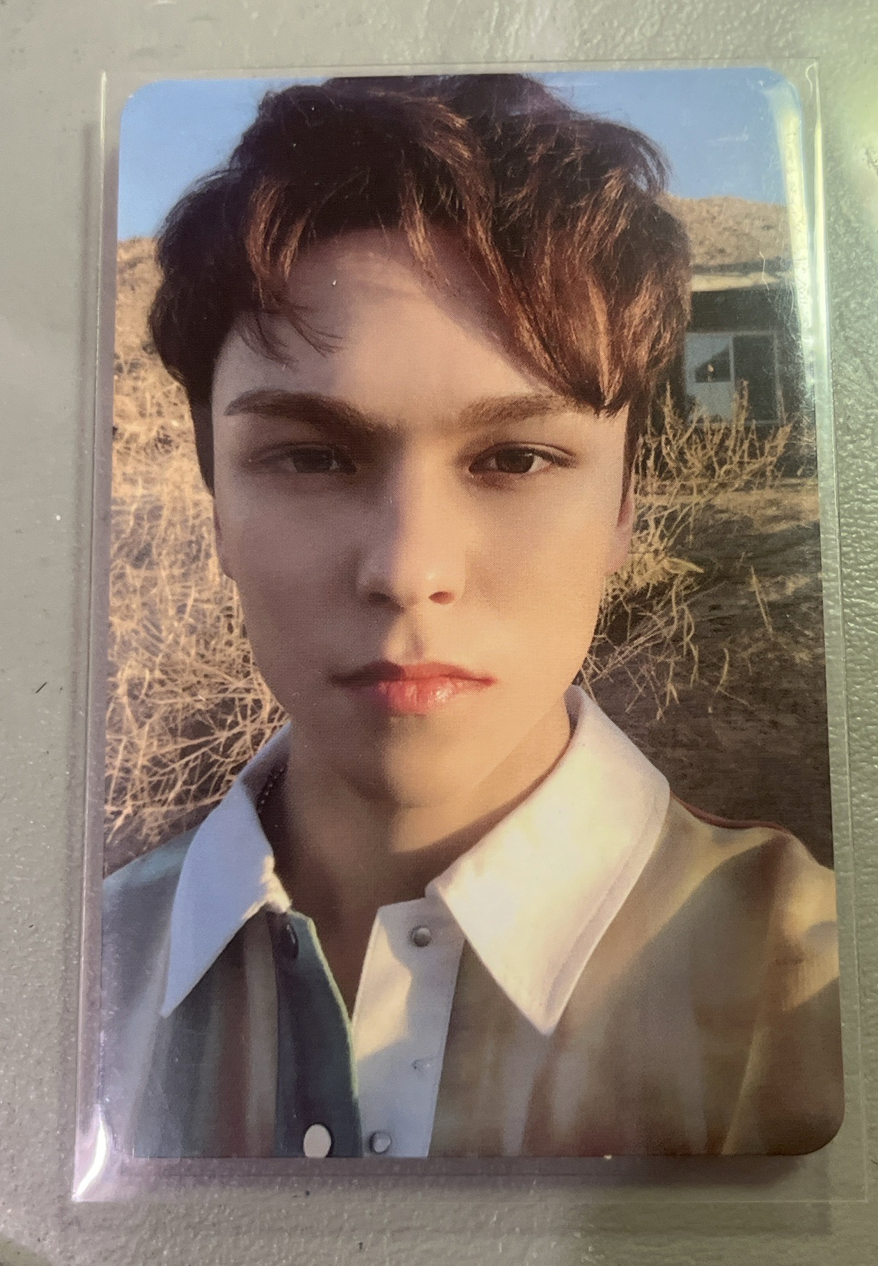 迷七 三版 率 Vernon 