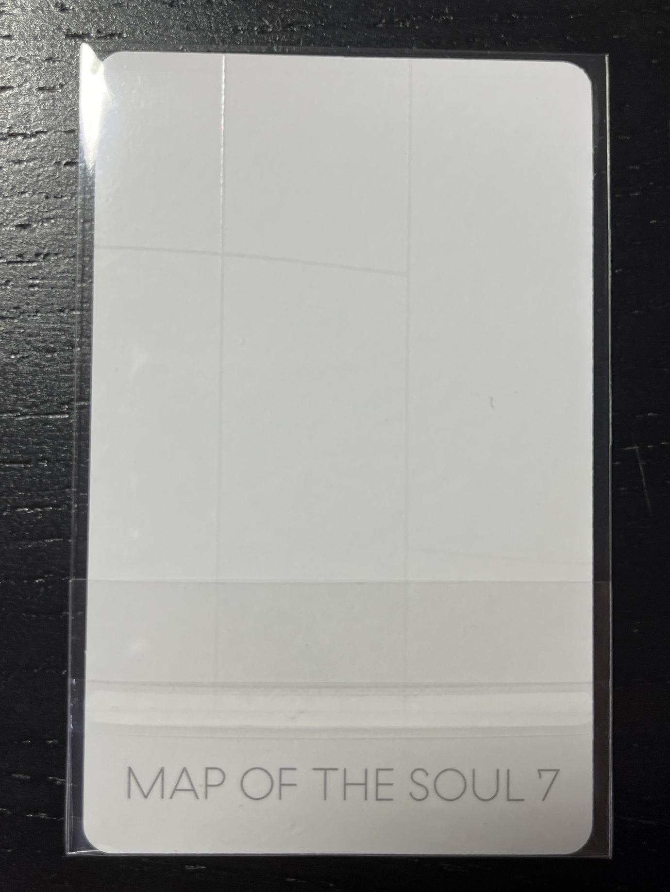 鄭號錫｜黑天鵝🦢