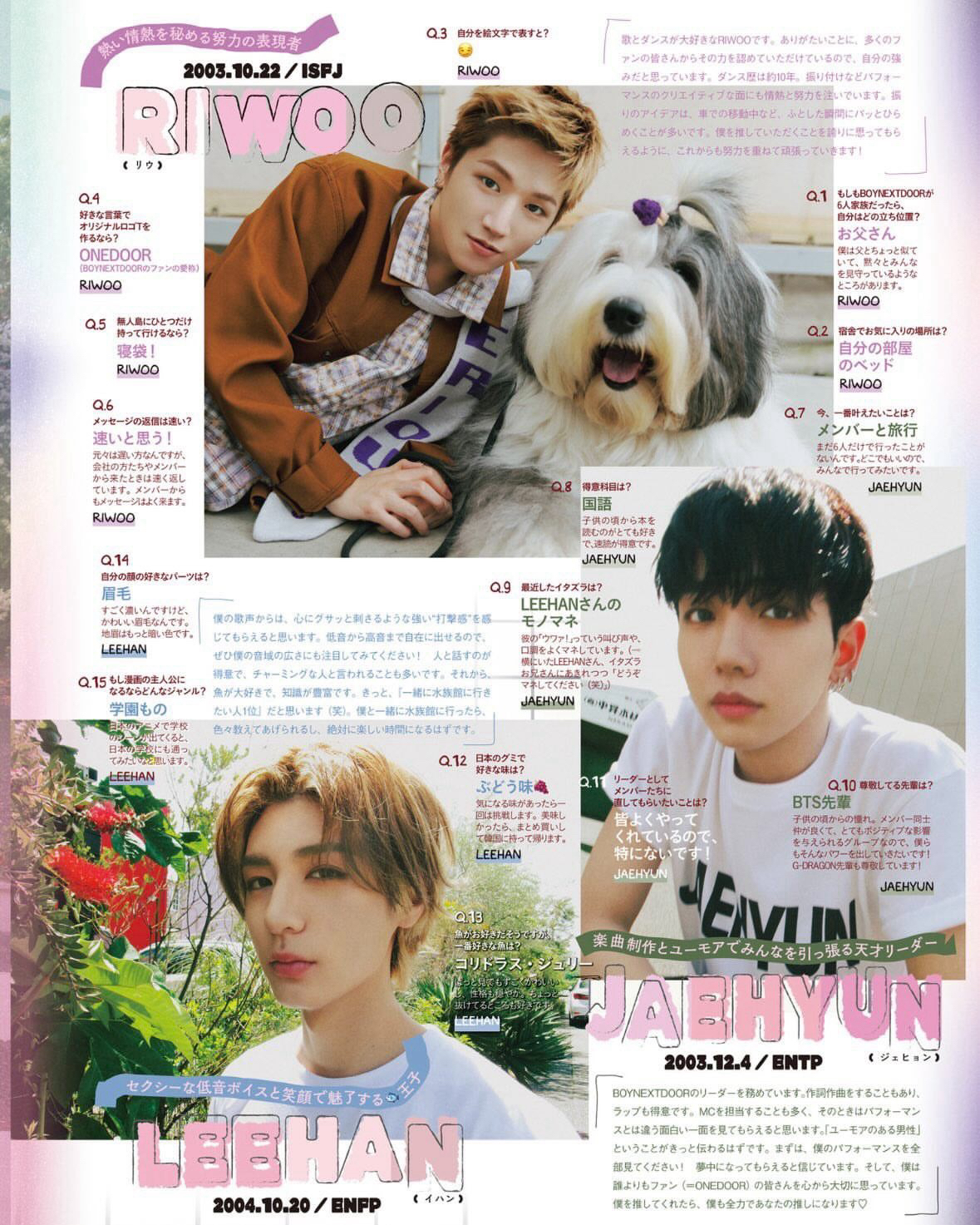 特典及內頁配置一覽