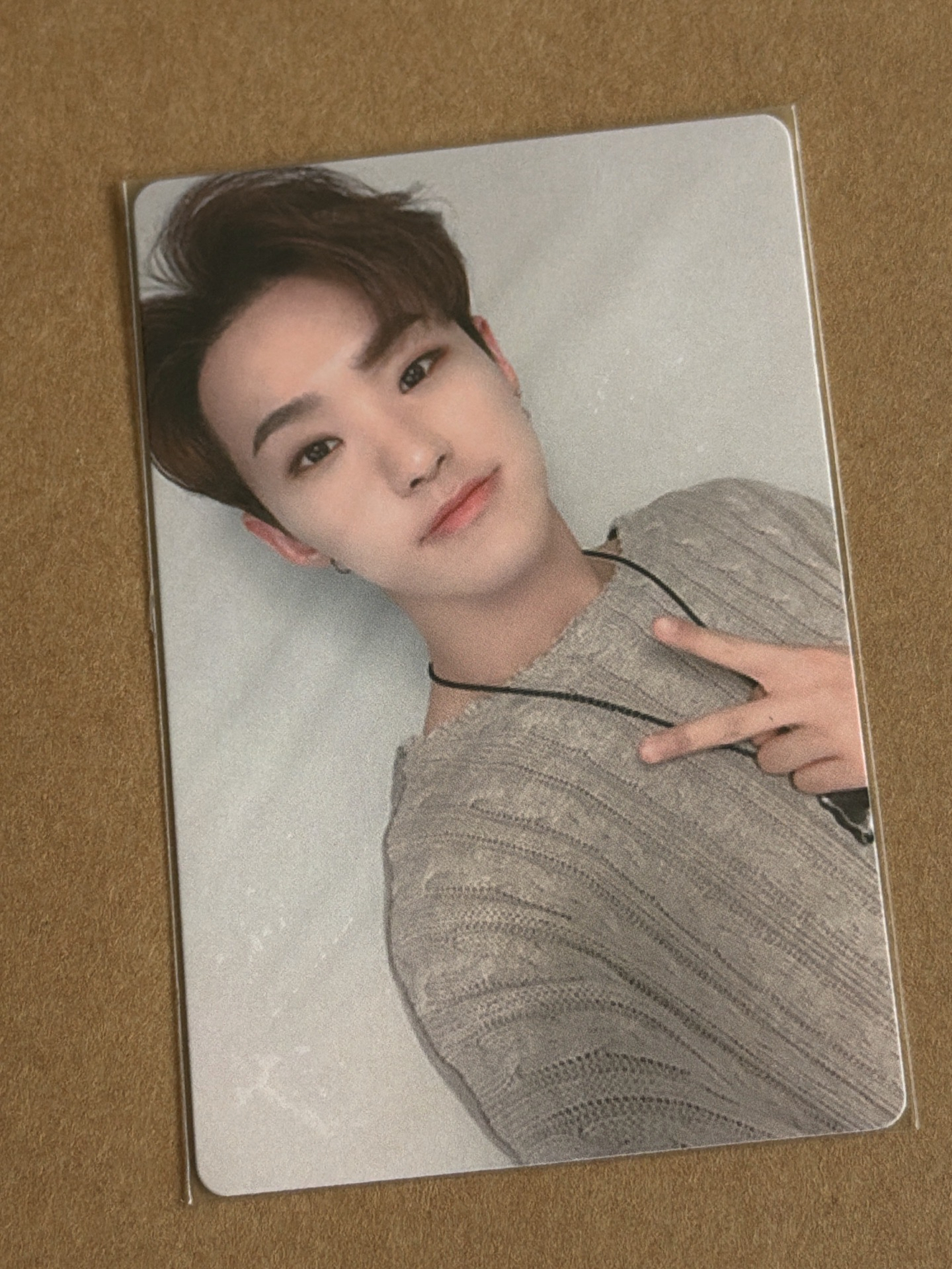 權順榮 HOSHI 專輯卡