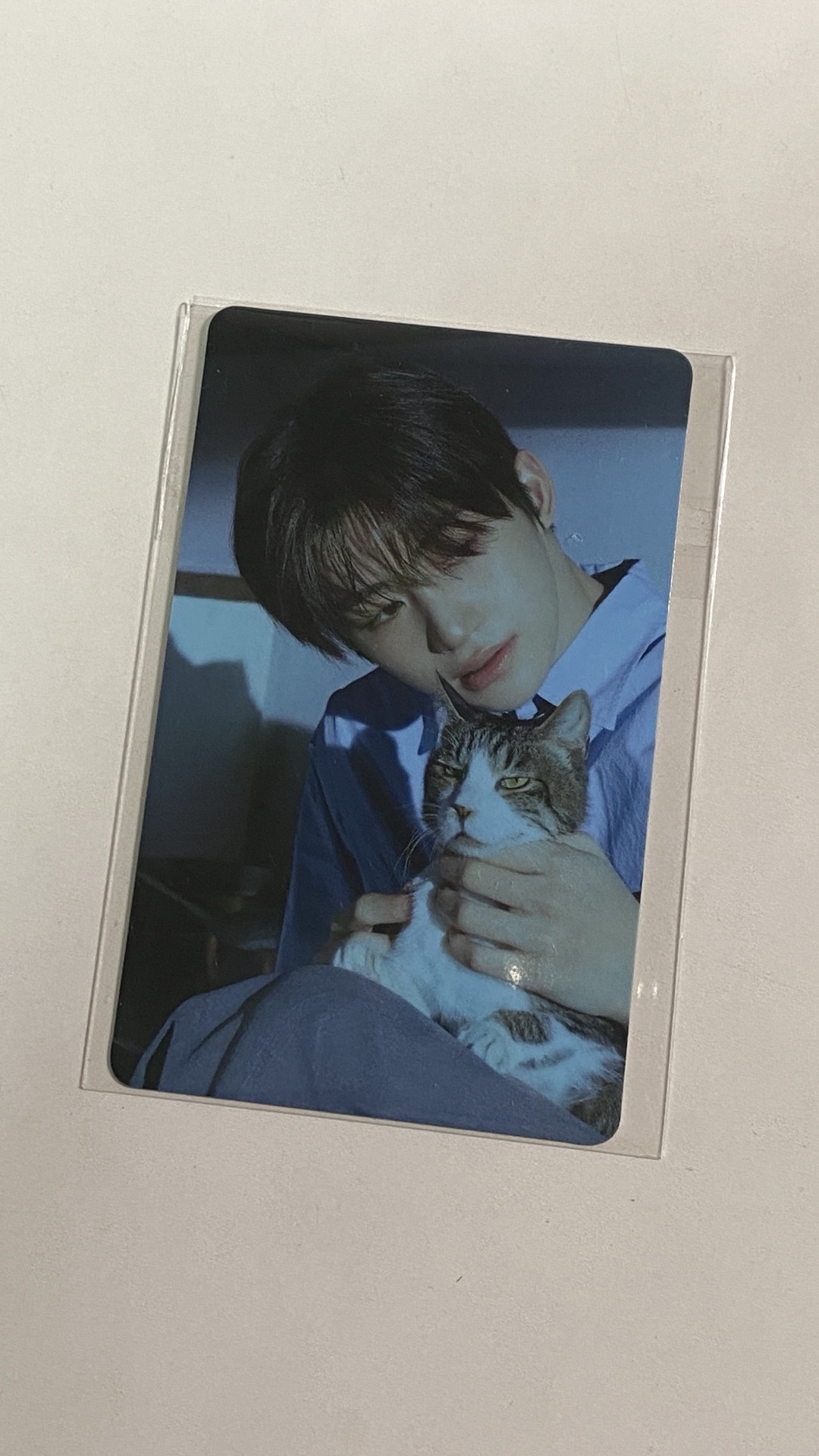 初次見面塔店特典卡志薫