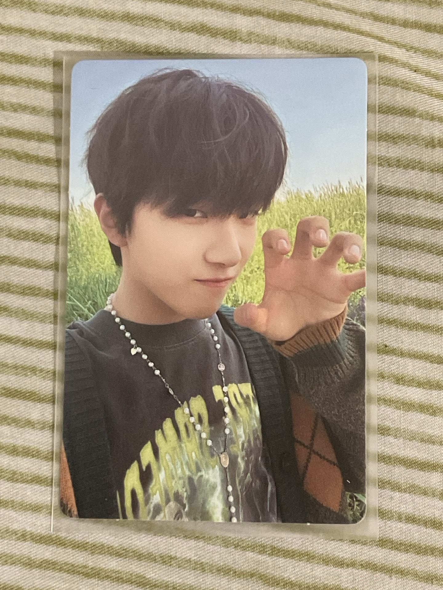 小鶴虎爪🐯🐾可直拍