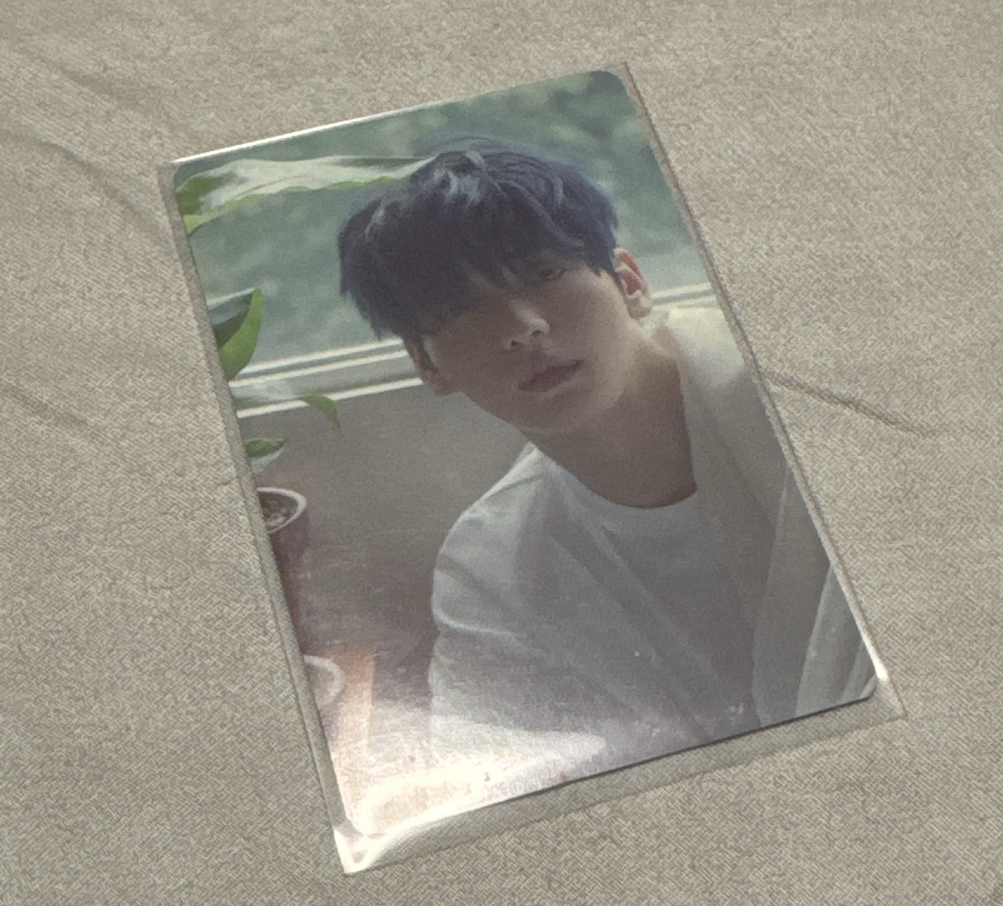 TXT sanctuary 快閃週邊 卡套+小卡