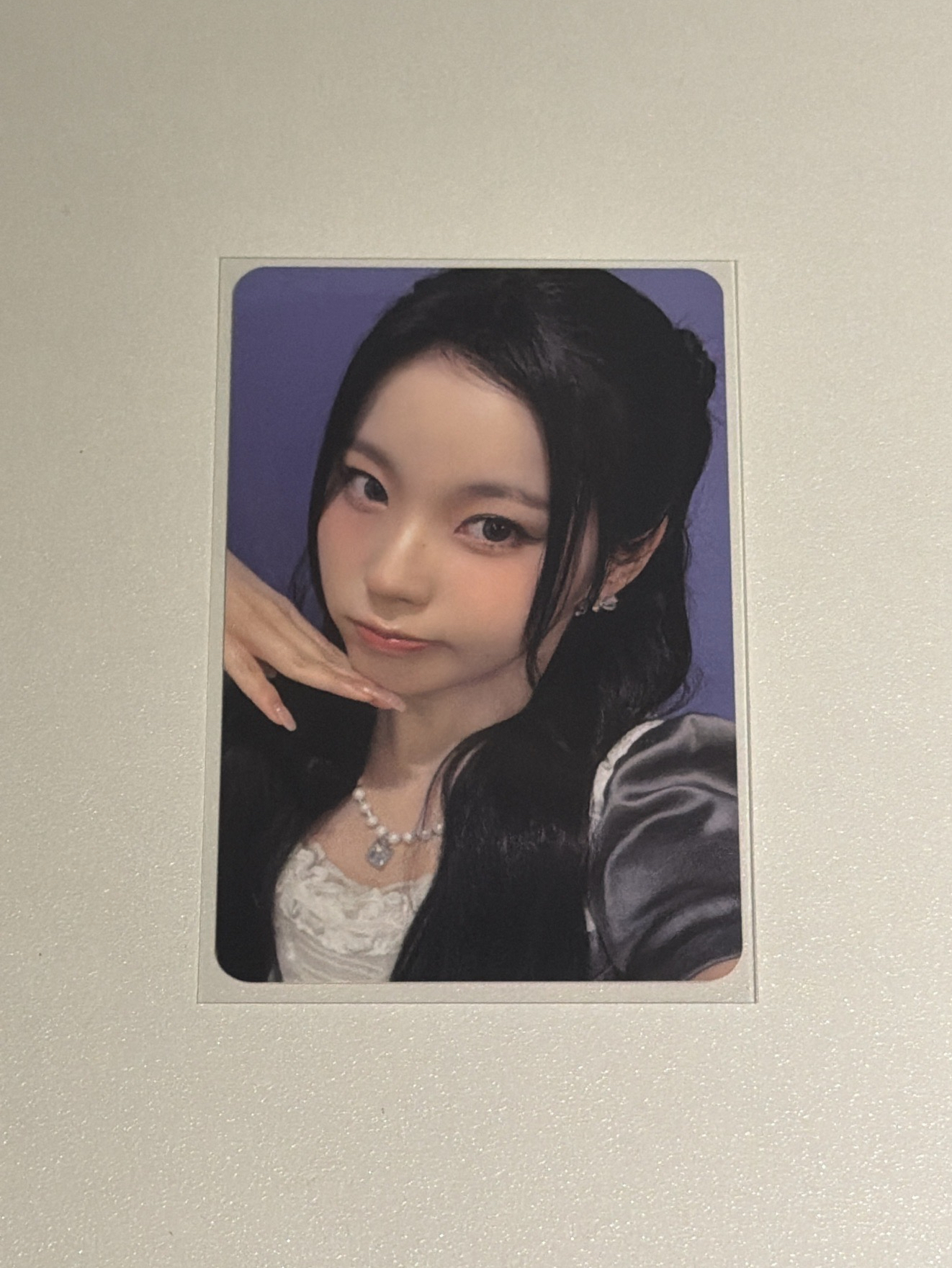 MS 公主圭