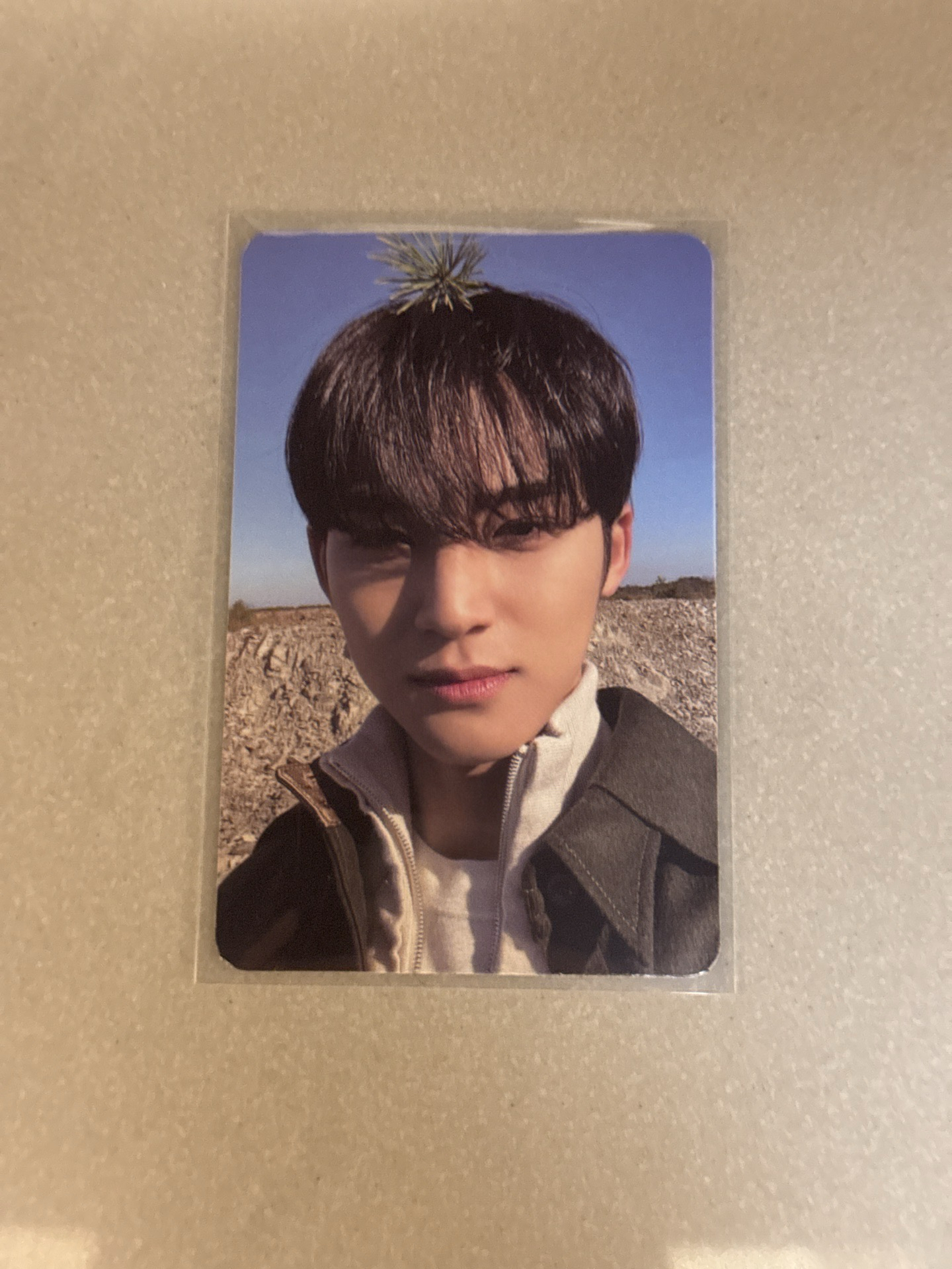 正四 頂草奎+油彩盤私服專卡