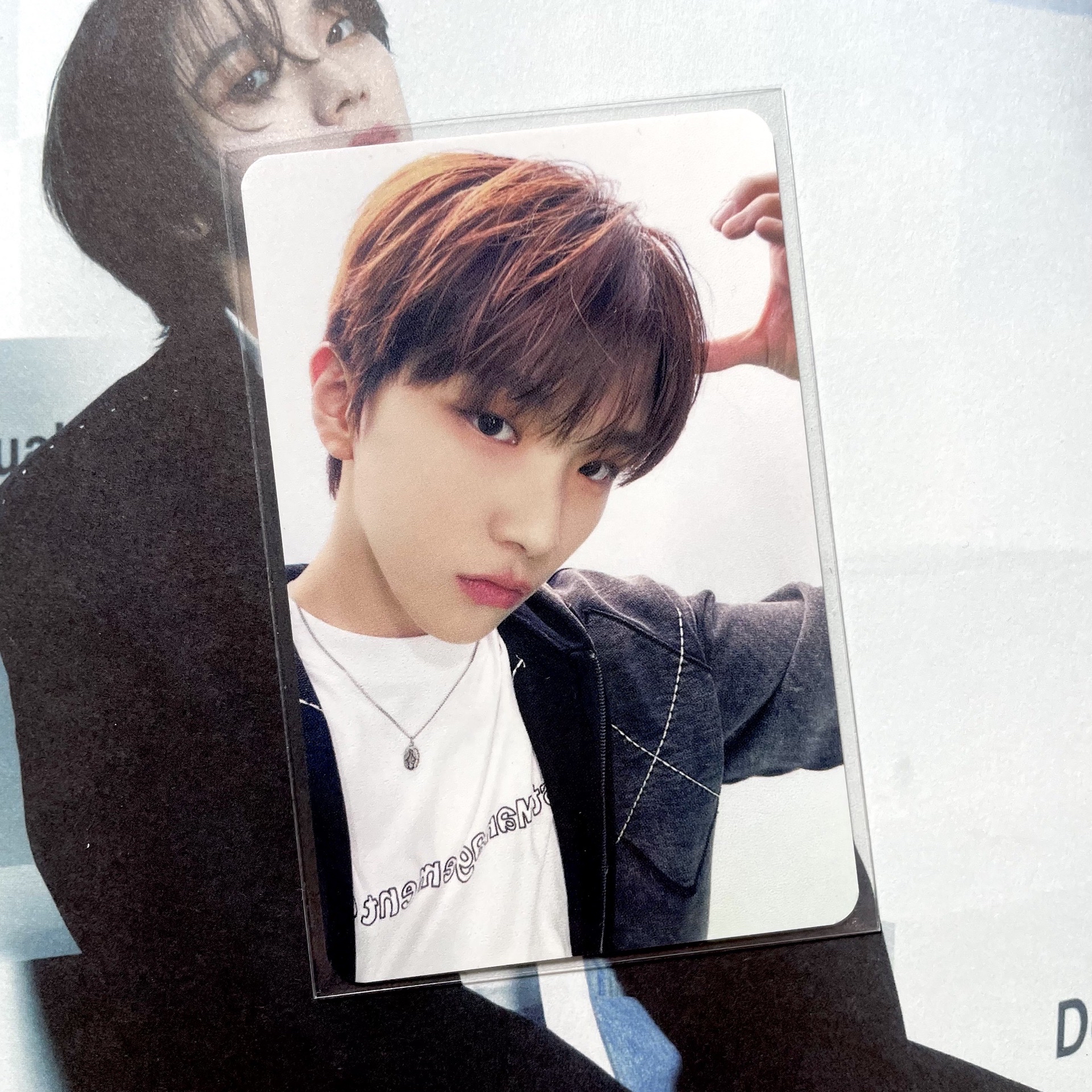 金雲鶴 how滿額卡 熊耳