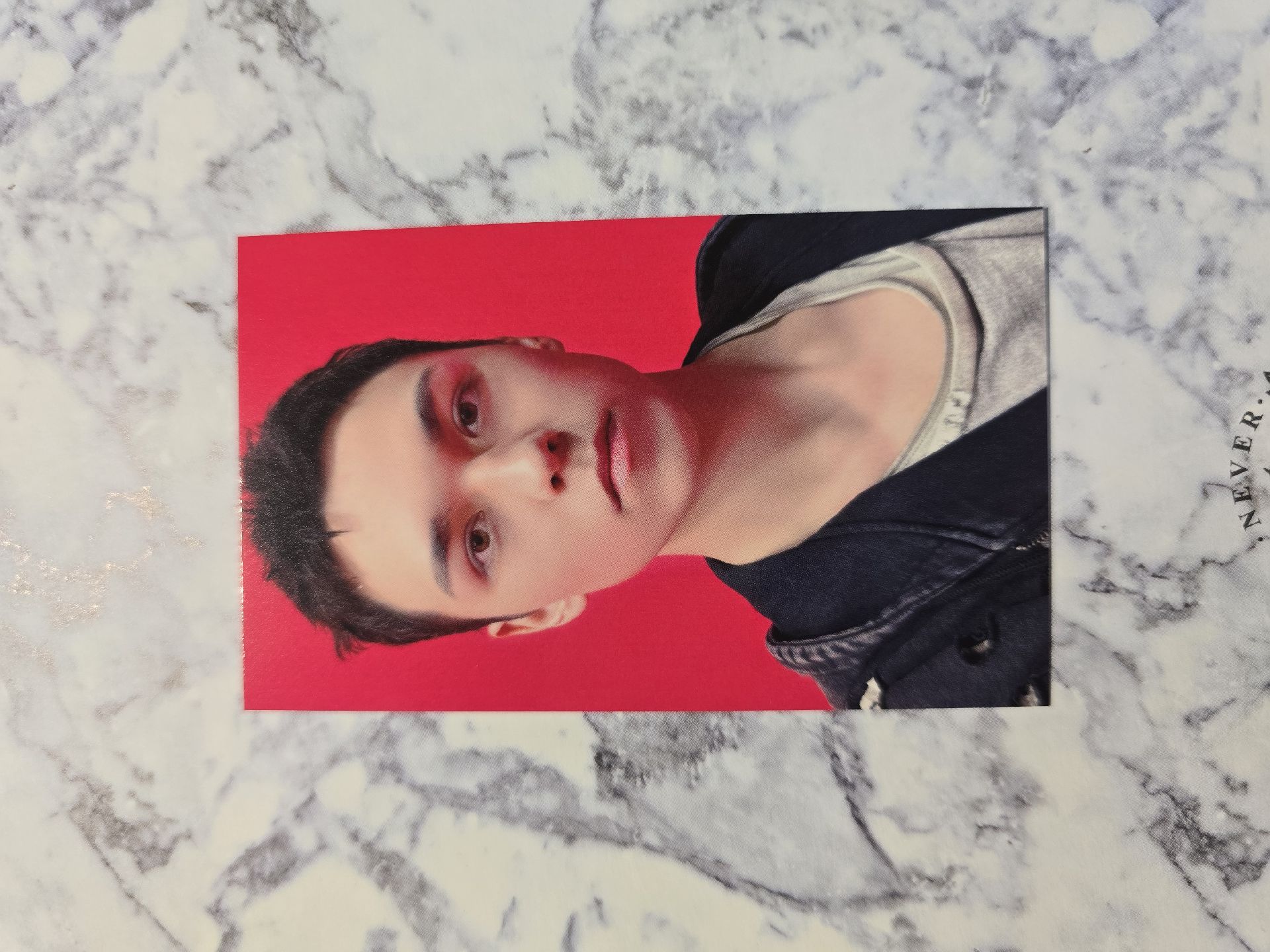 Vernon正五場限 環球埼玉