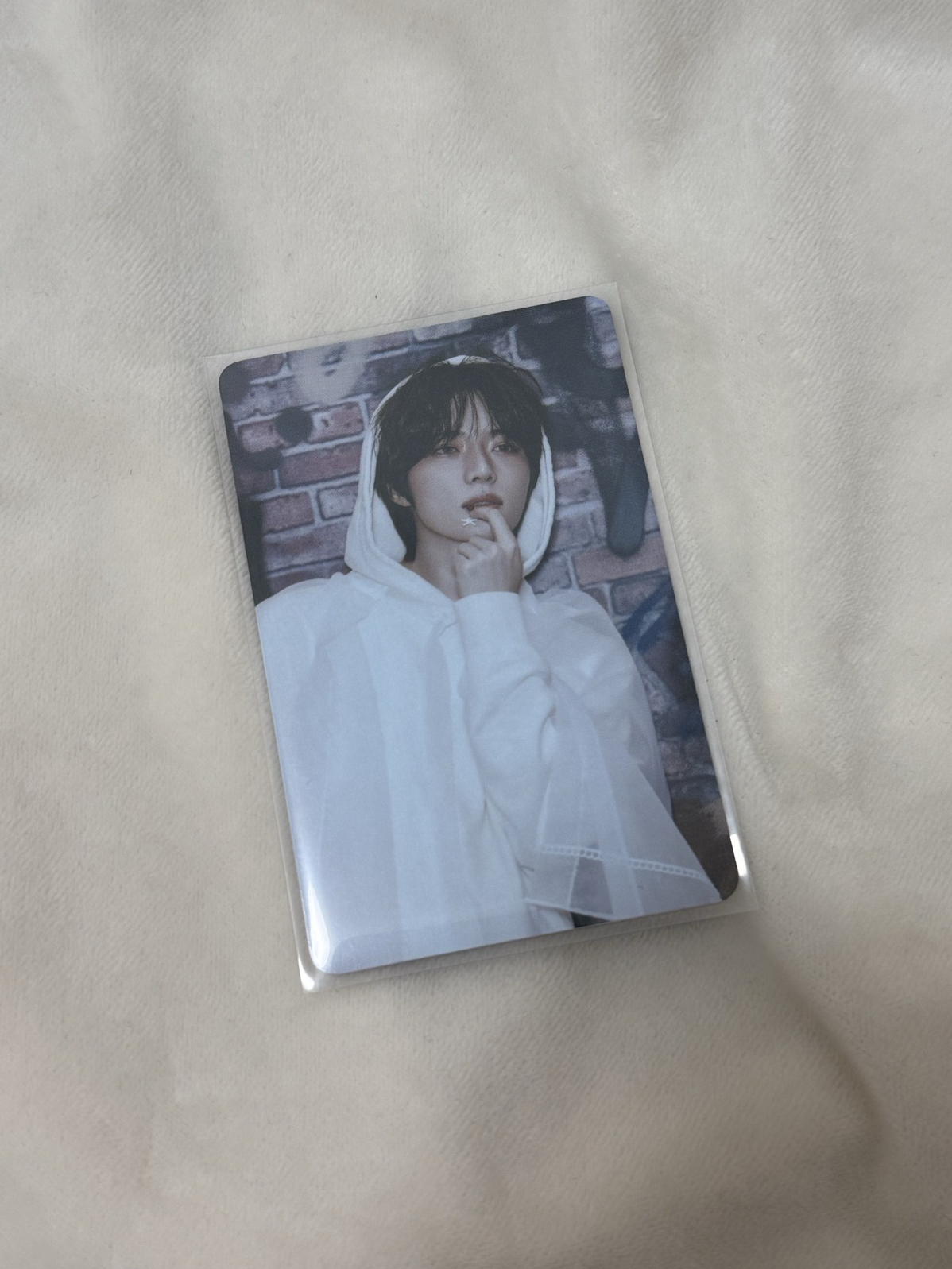 誓い 日專快閃隨機卡 杋圭