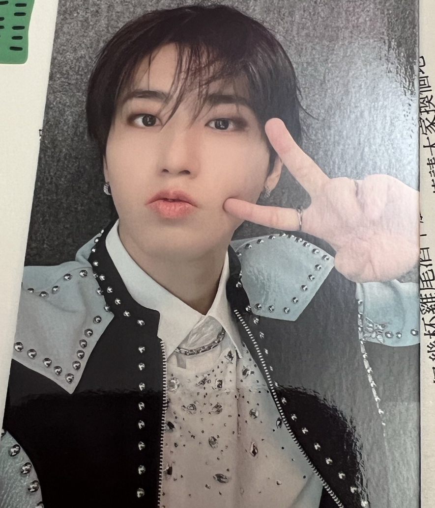 stray kids HAN 韓知城 Giant 日本 場限